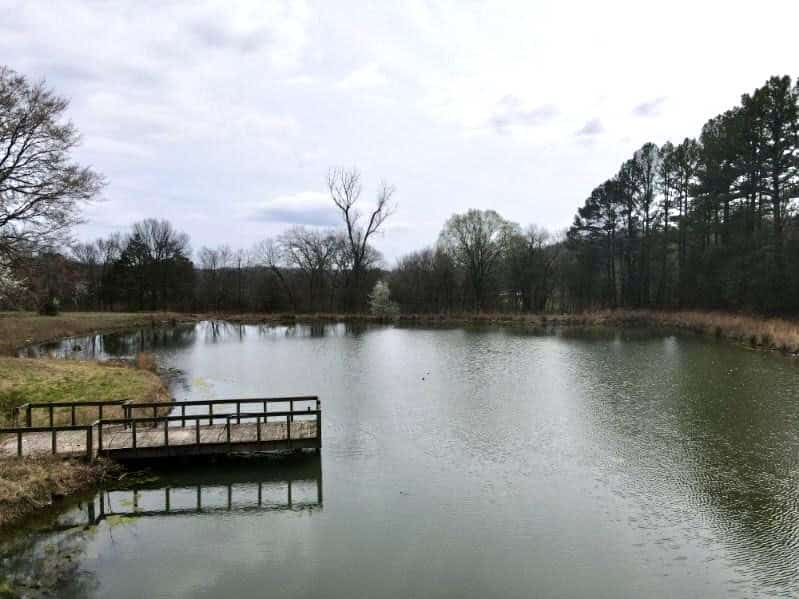 95 Acres of Hunting Land with Log Home For Sale in Arkansas