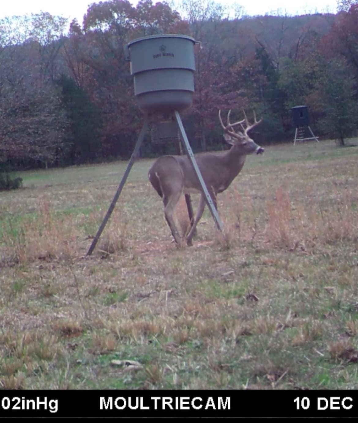 95 Acres of Hunting Land with Log Home For Sale in Arkansas