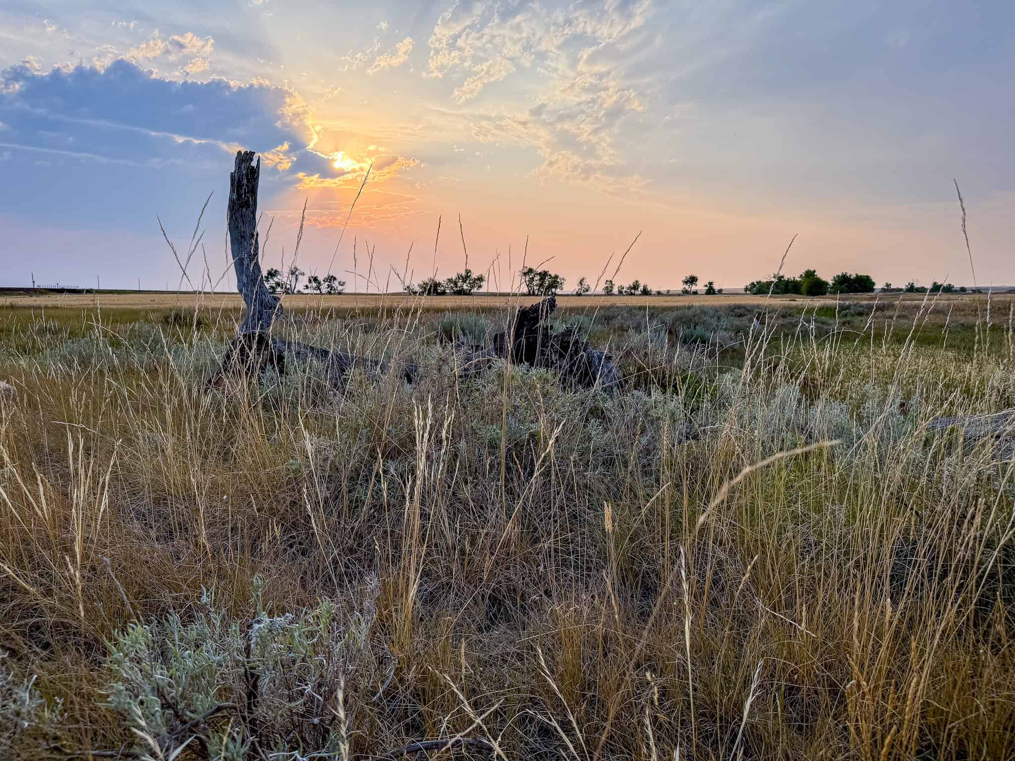 Milk River Treasure Ranch Dryland Farm Hay Production