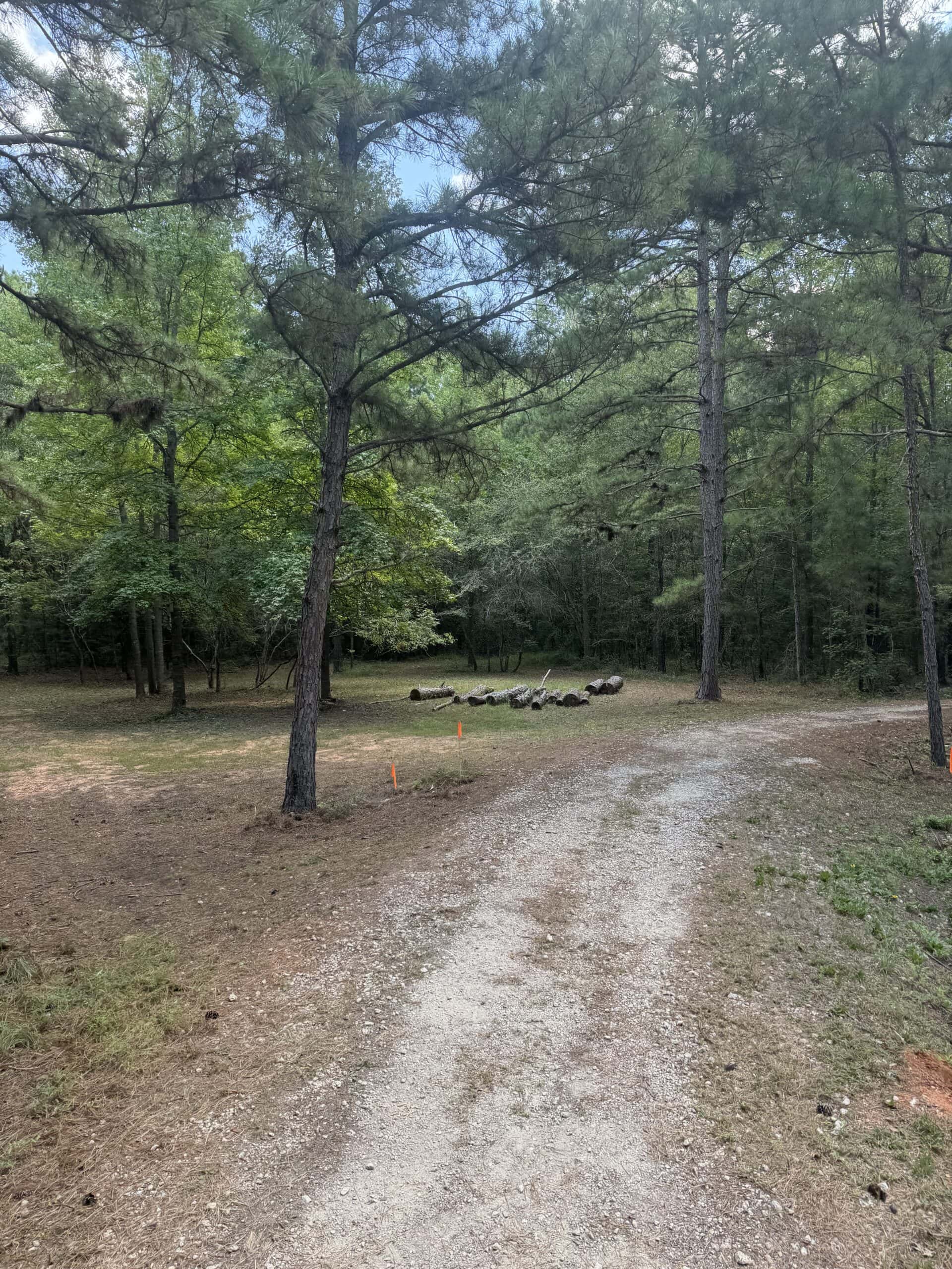 East Texas Hunting/Recreational Tract With Cabin