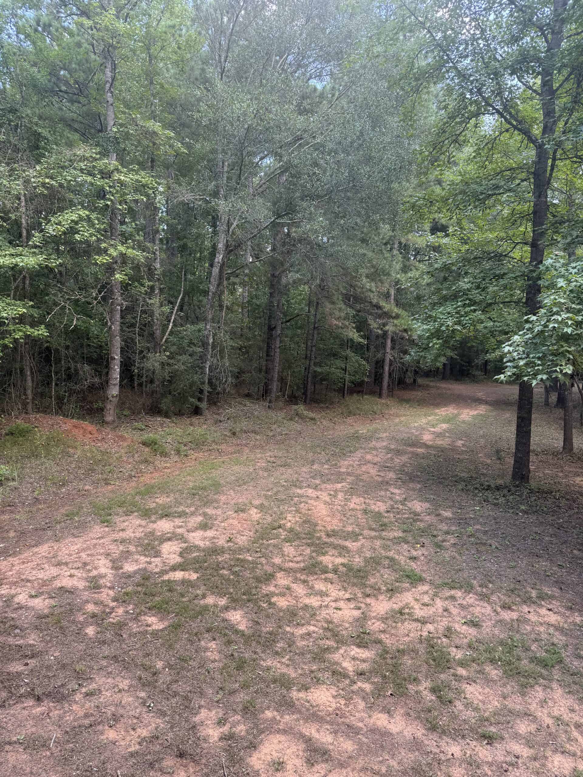 East Texas Hunting/Recreational Tract With Cabin