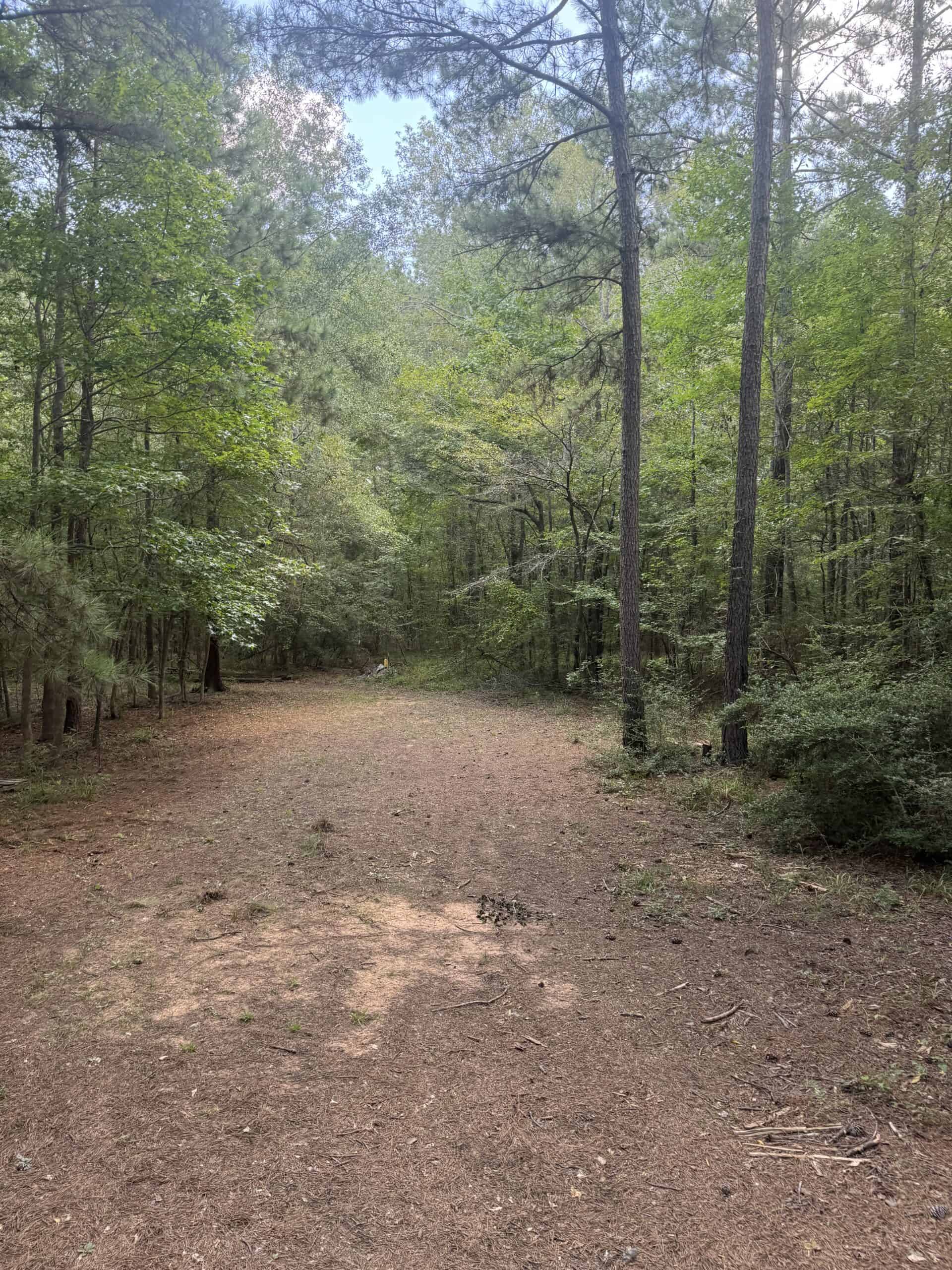 East Texas Hunting/Recreational Tract With Cabin