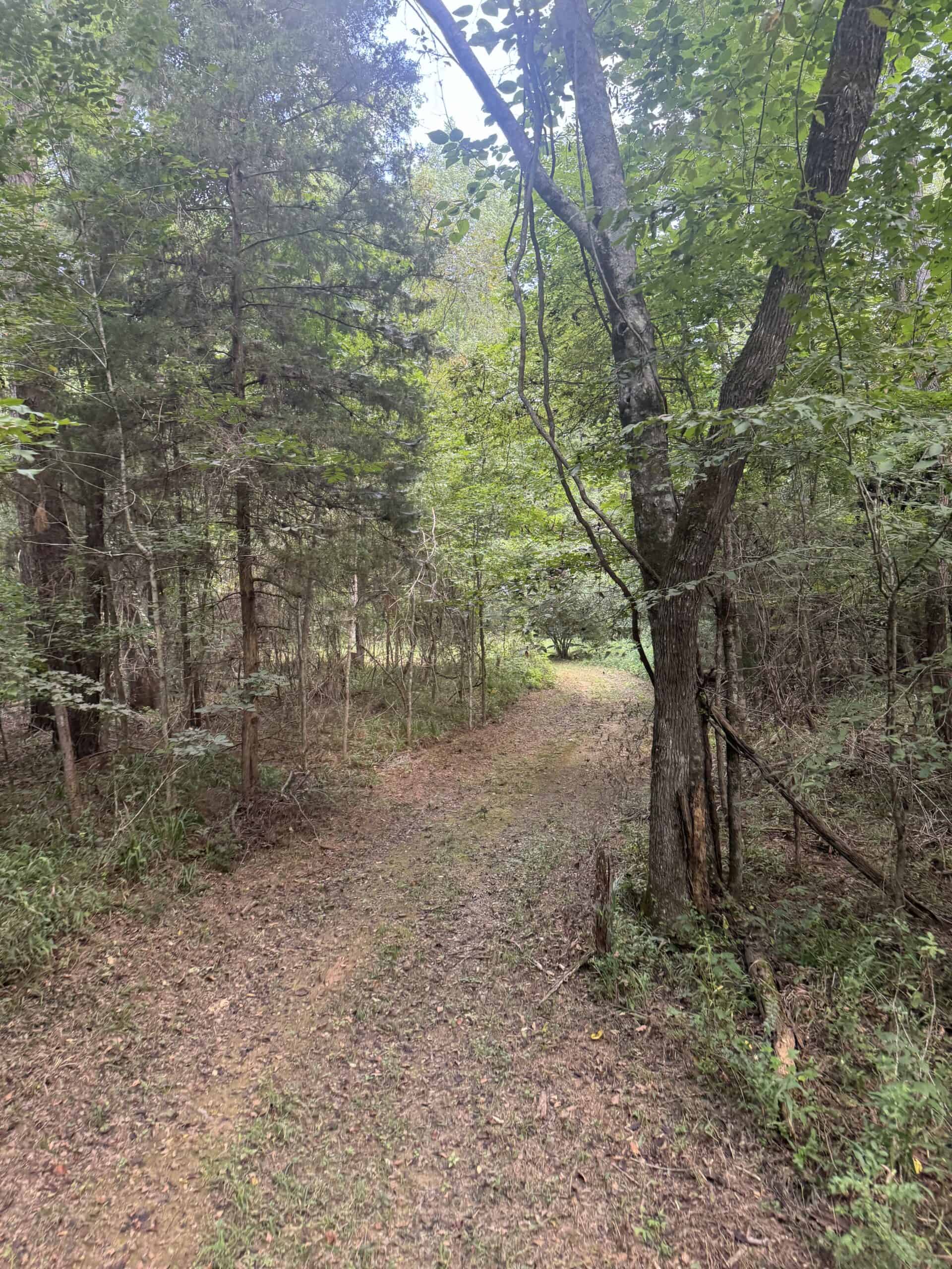 East Texas Hunting/Recreational Tract With Cabin