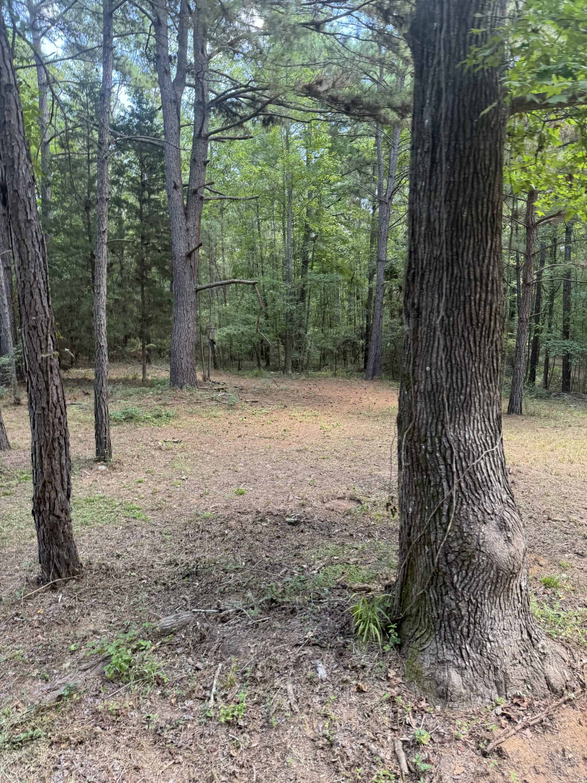 East Texas Hunting/Recreational Tract With Cabin