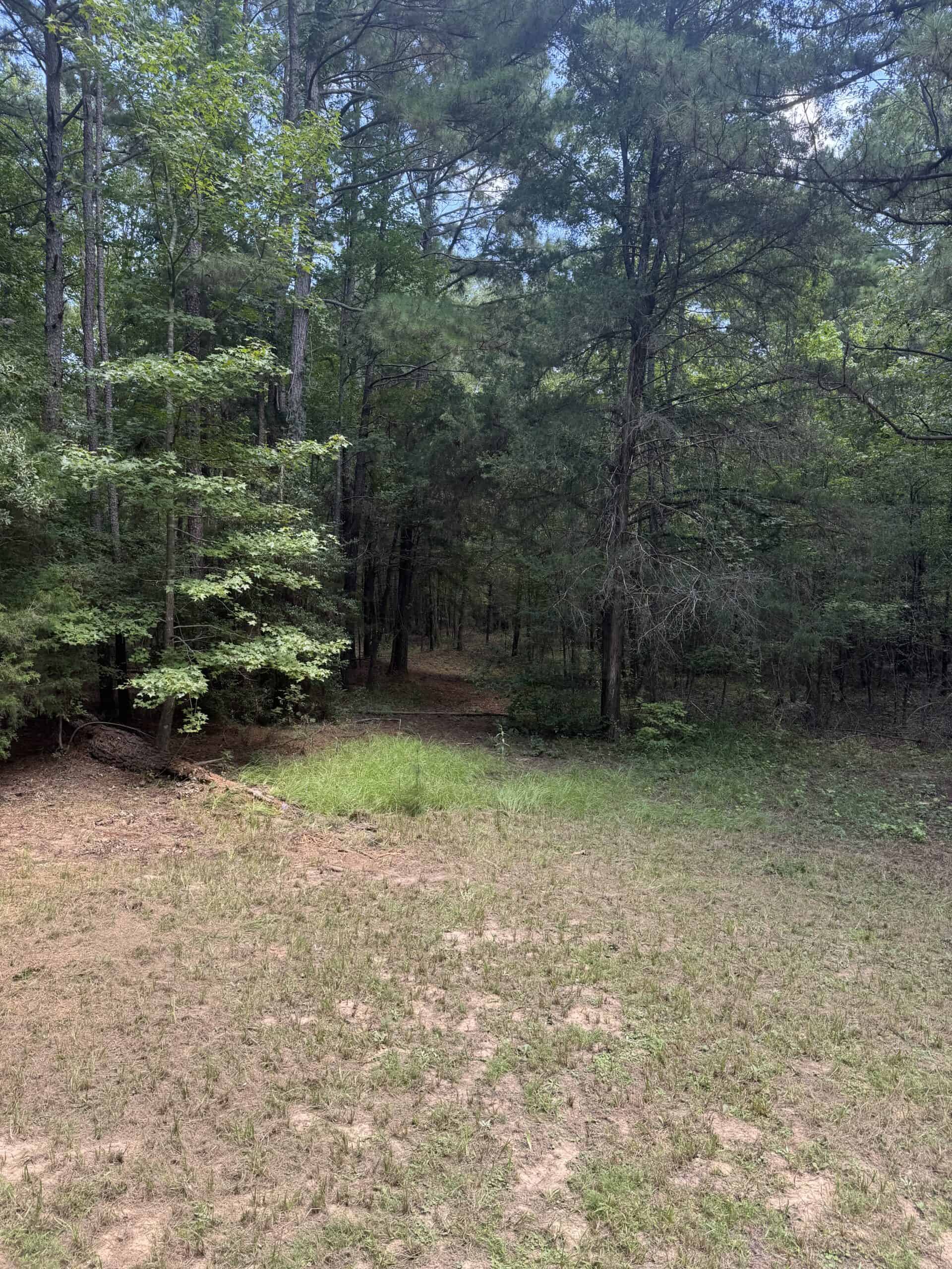 East Texas Hunting/Recreational Tract With Cabin