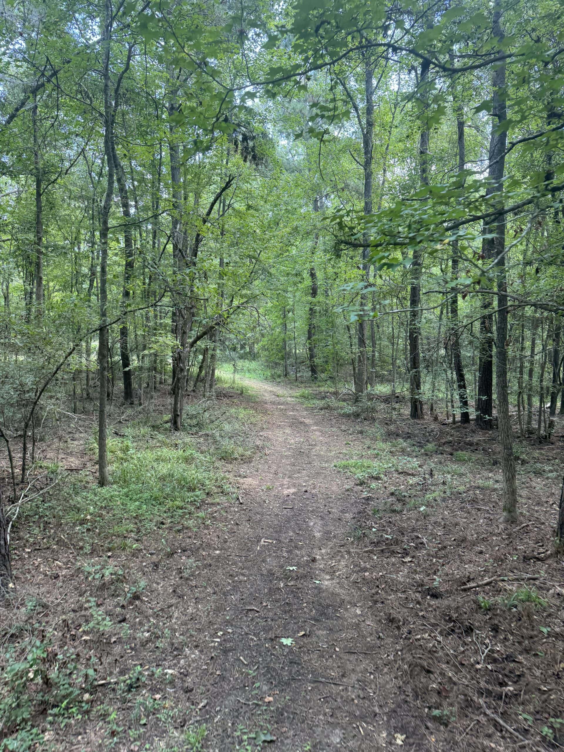 East Texas Hunting/Recreational Tract With Cabin