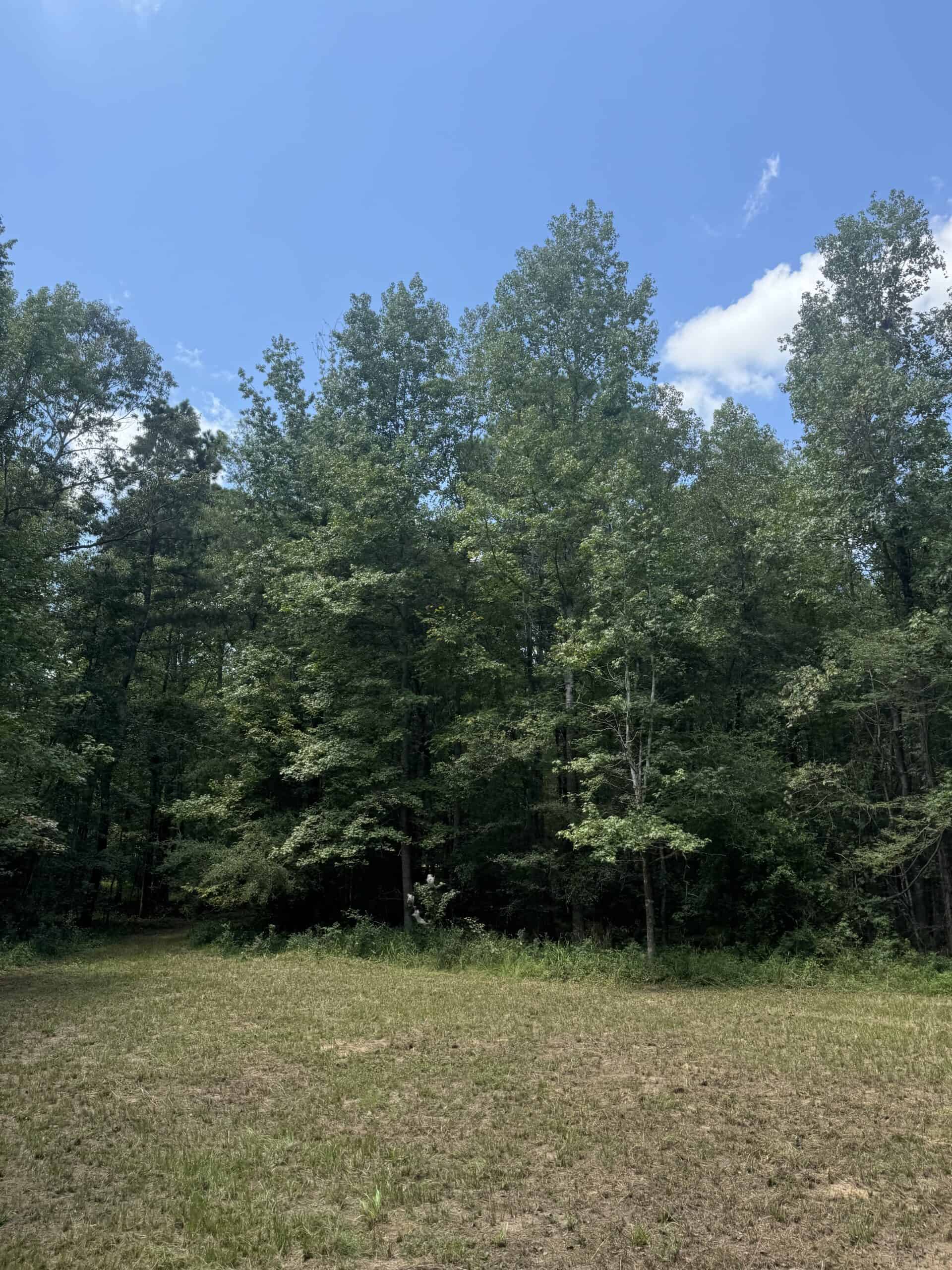 East Texas Hunting/Recreational Tract With Cabin