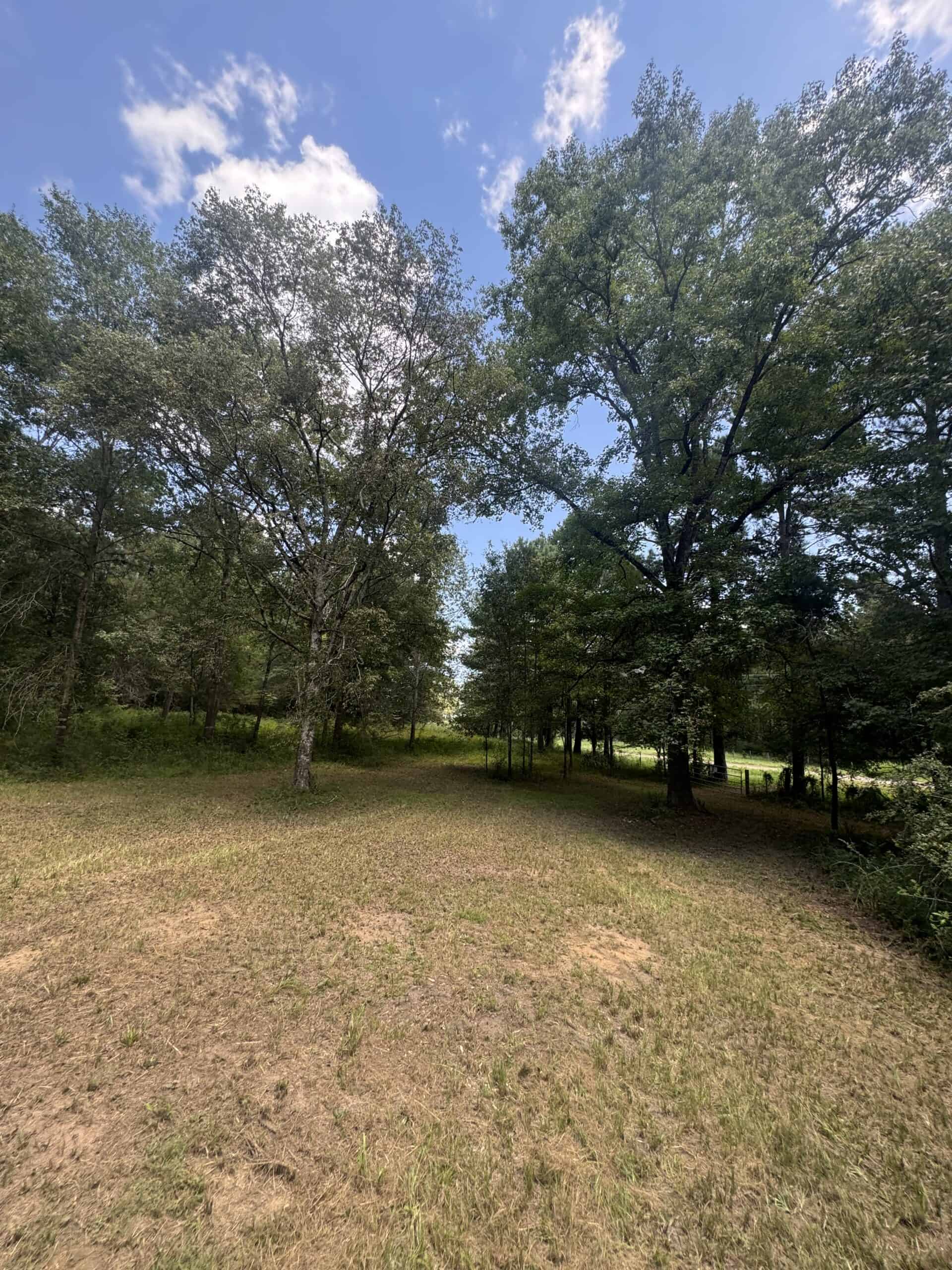 East Texas Hunting/Recreational Tract With Cabin