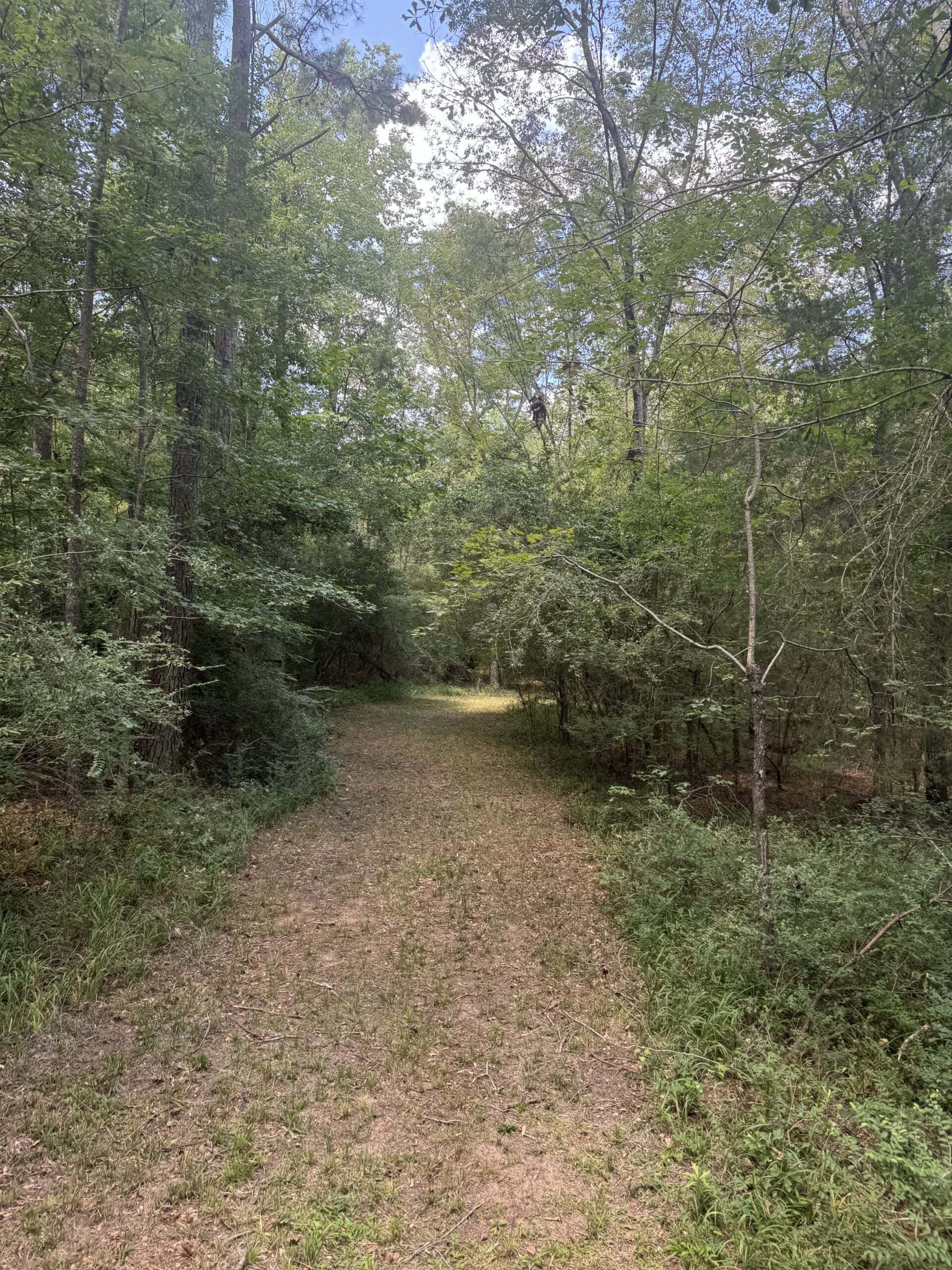 East Texas Hunting/Recreational Tract With Cabin