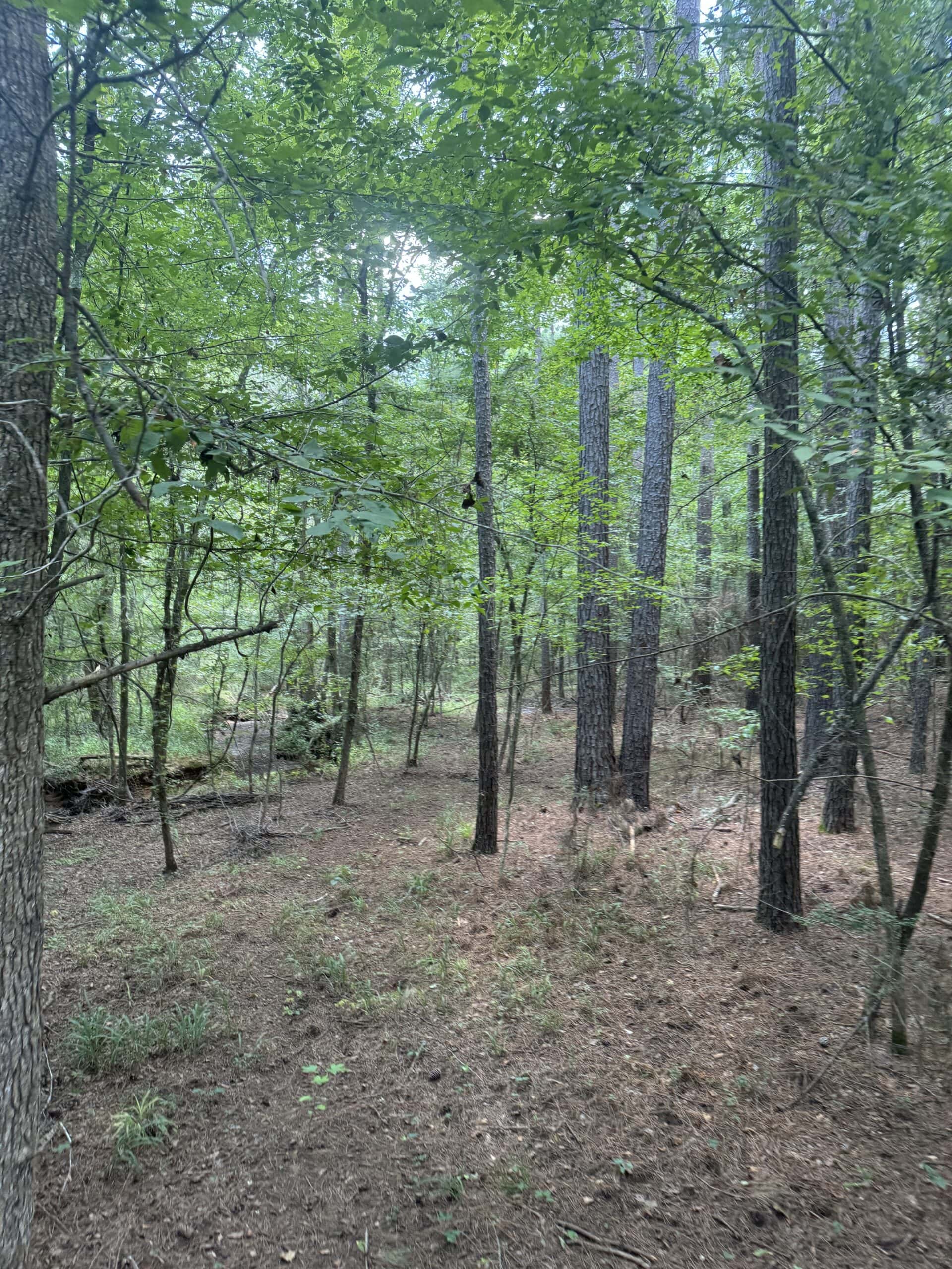 East Texas Hunting/Recreational Tract With Cabin