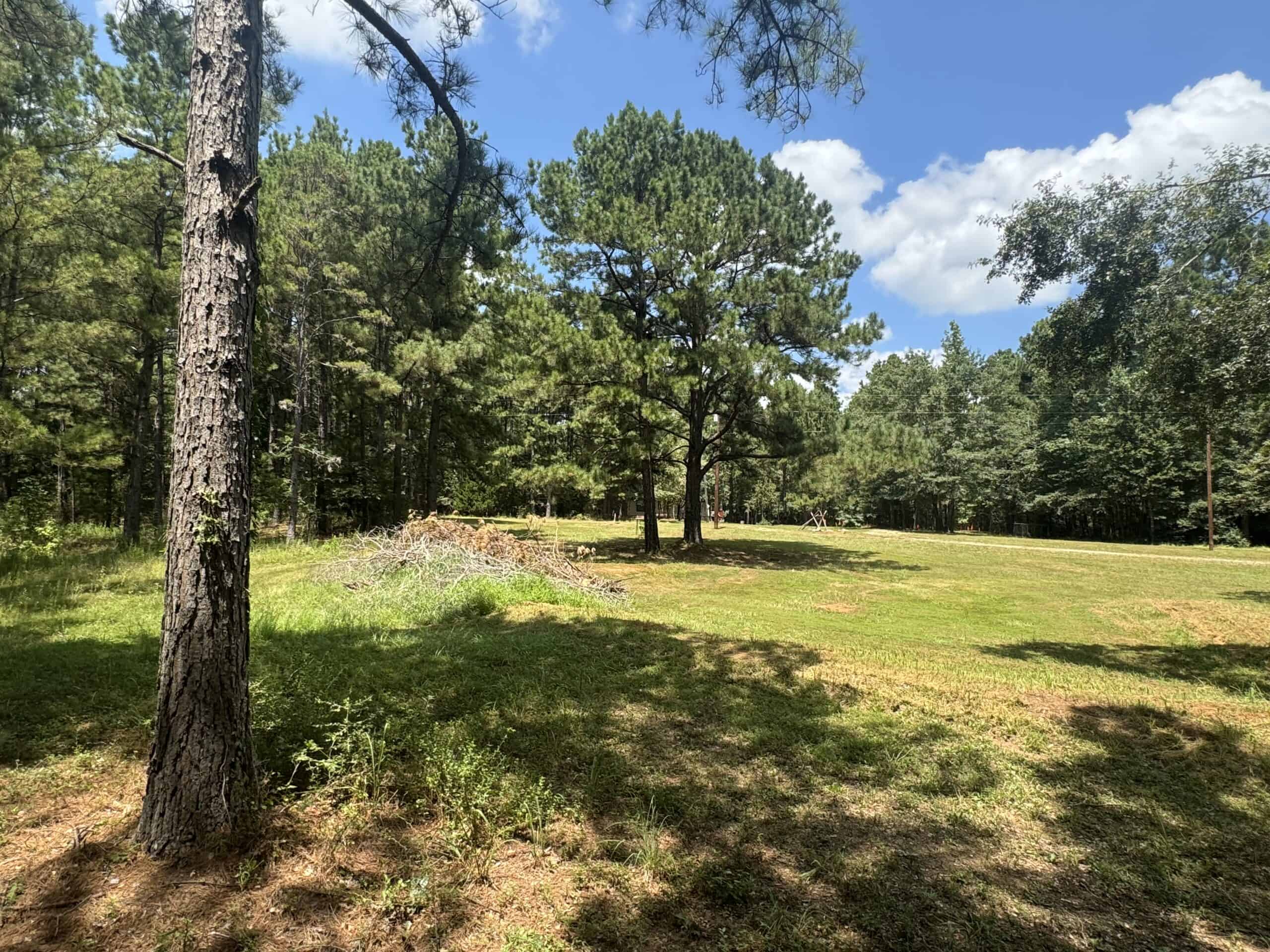 East Texas Hunting/Recreational Tract With Cabin