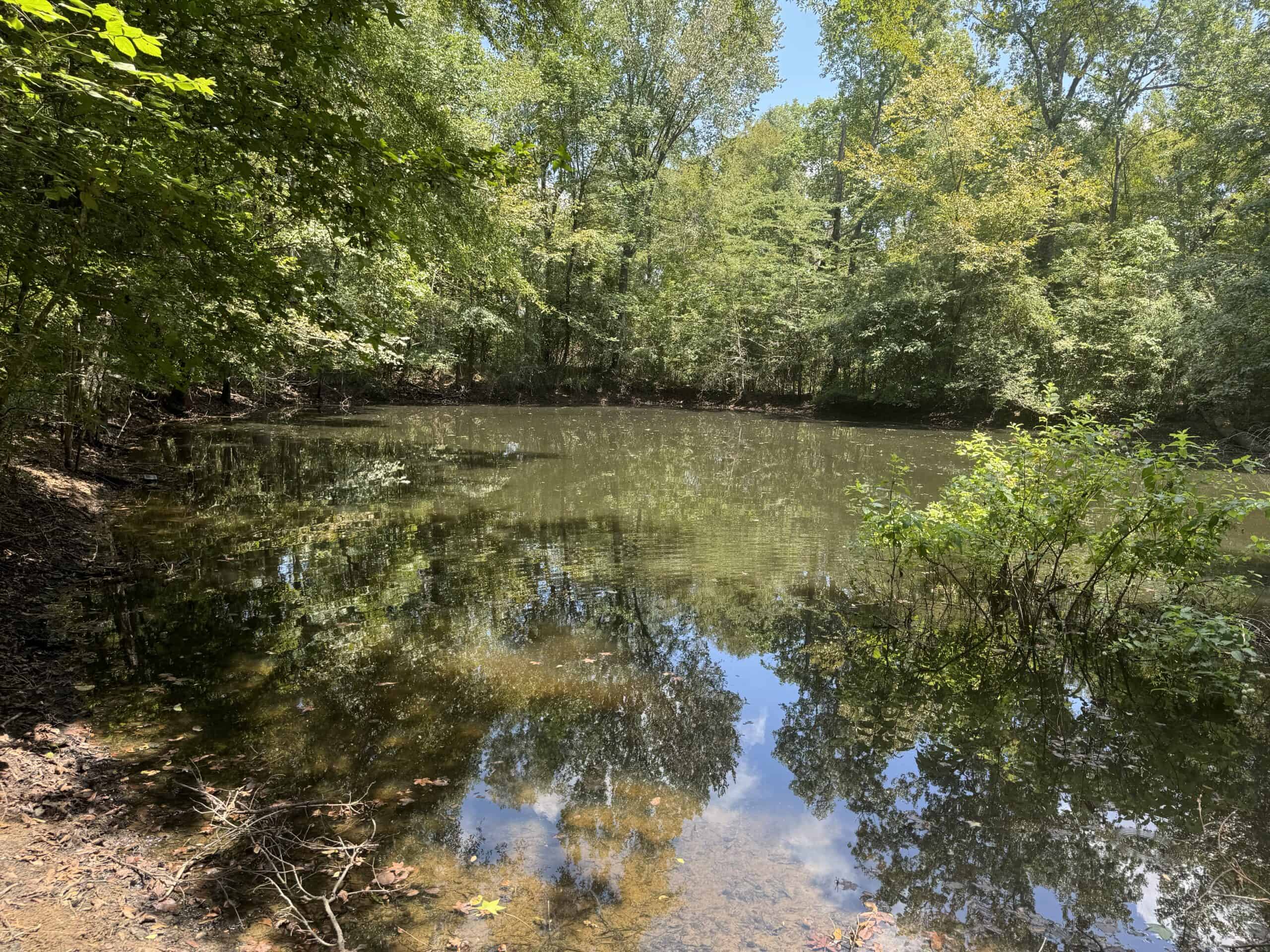 East Texas Hunting/Recreational Tract With Cabin