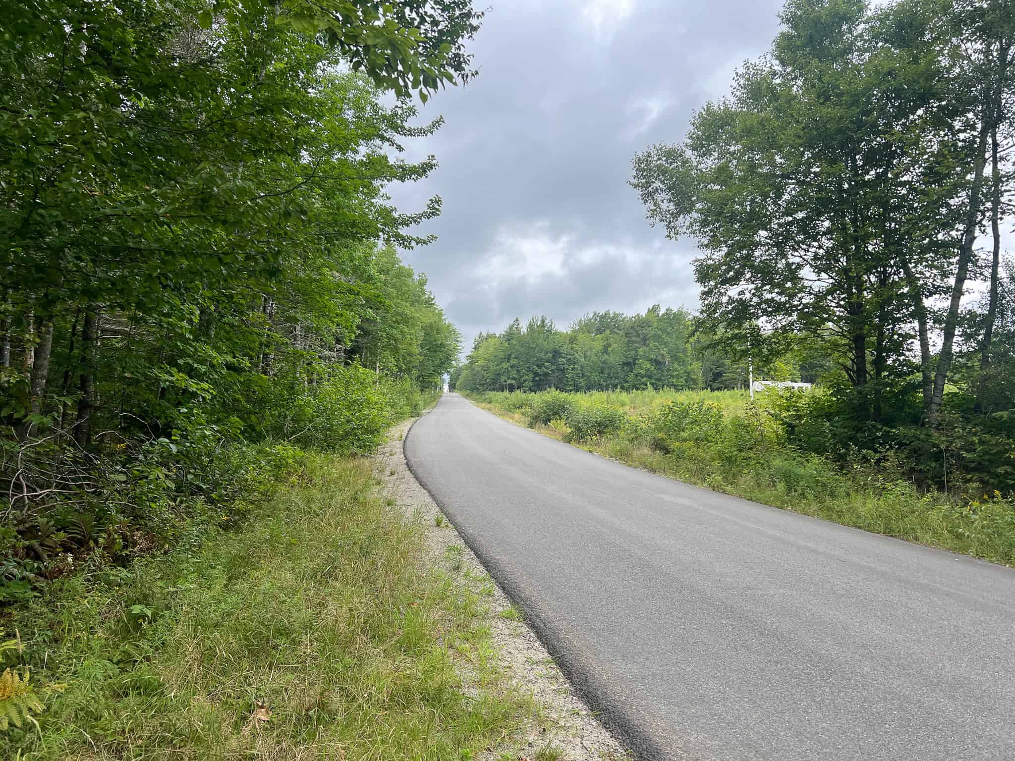 Large Mature Timber Lot with Blueberry Fields