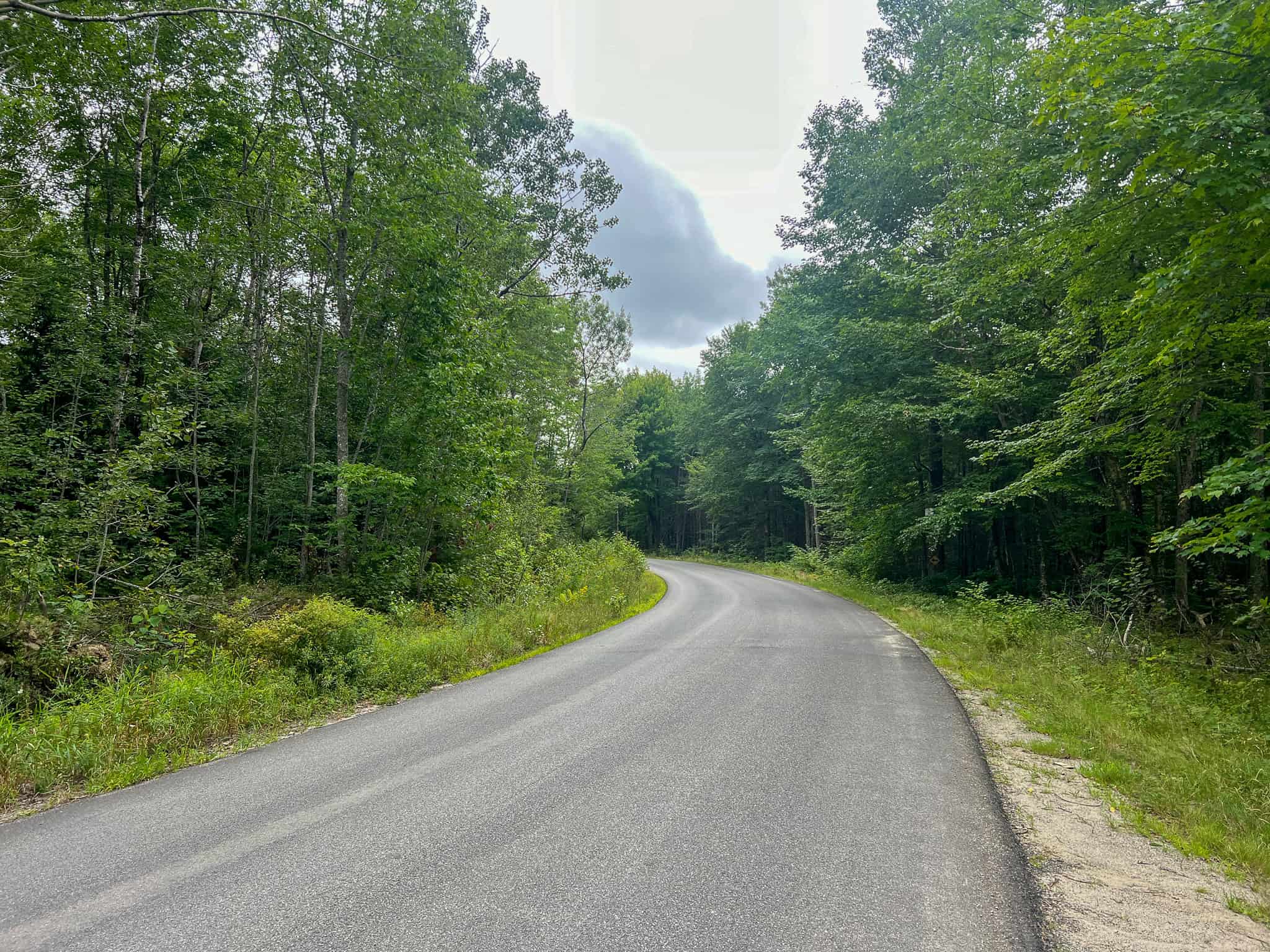 Large Mature Timber Lot with Blueberry Fields