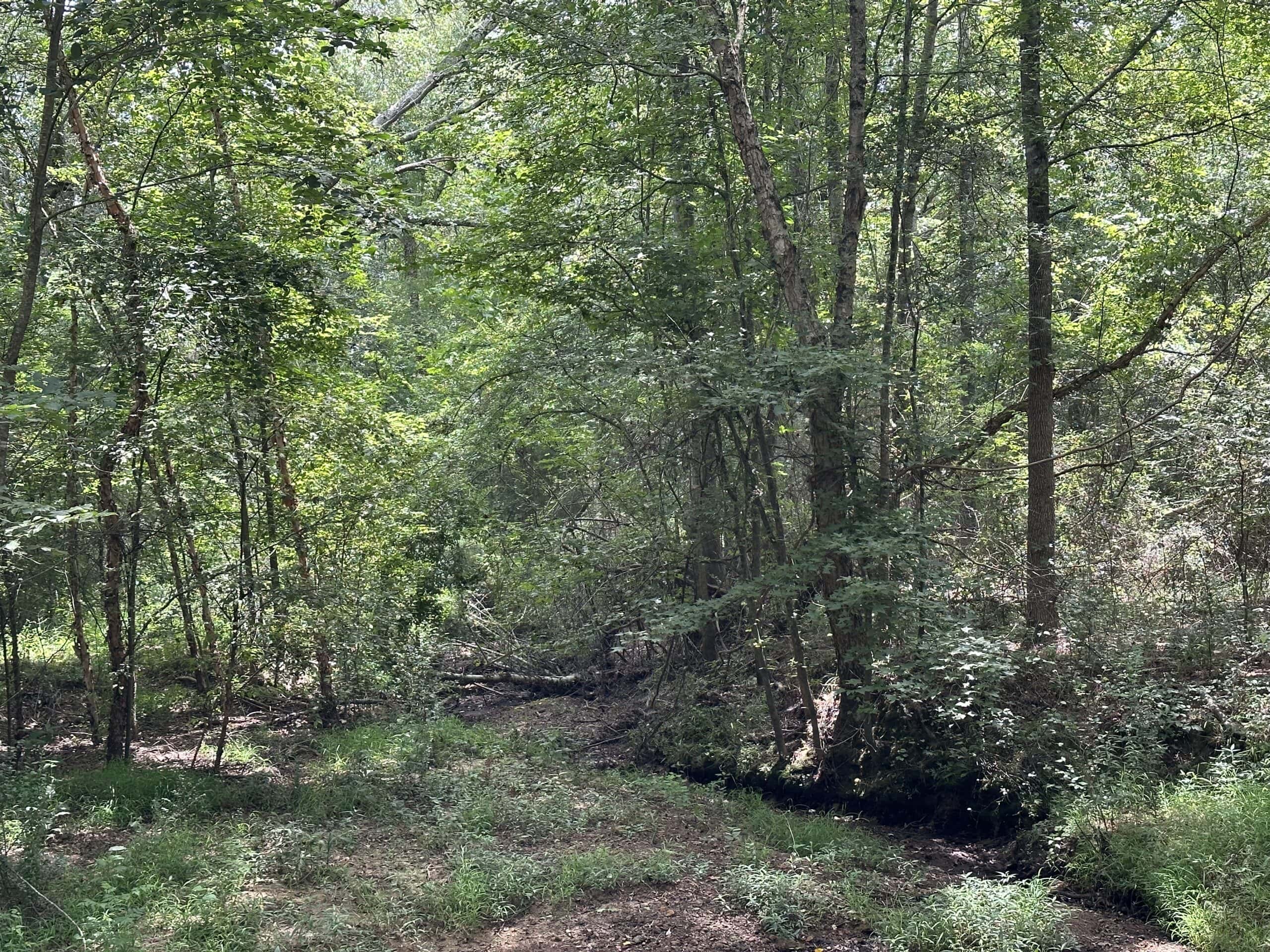 Jacksonville Texas Hunting/Recreational Land For Sale