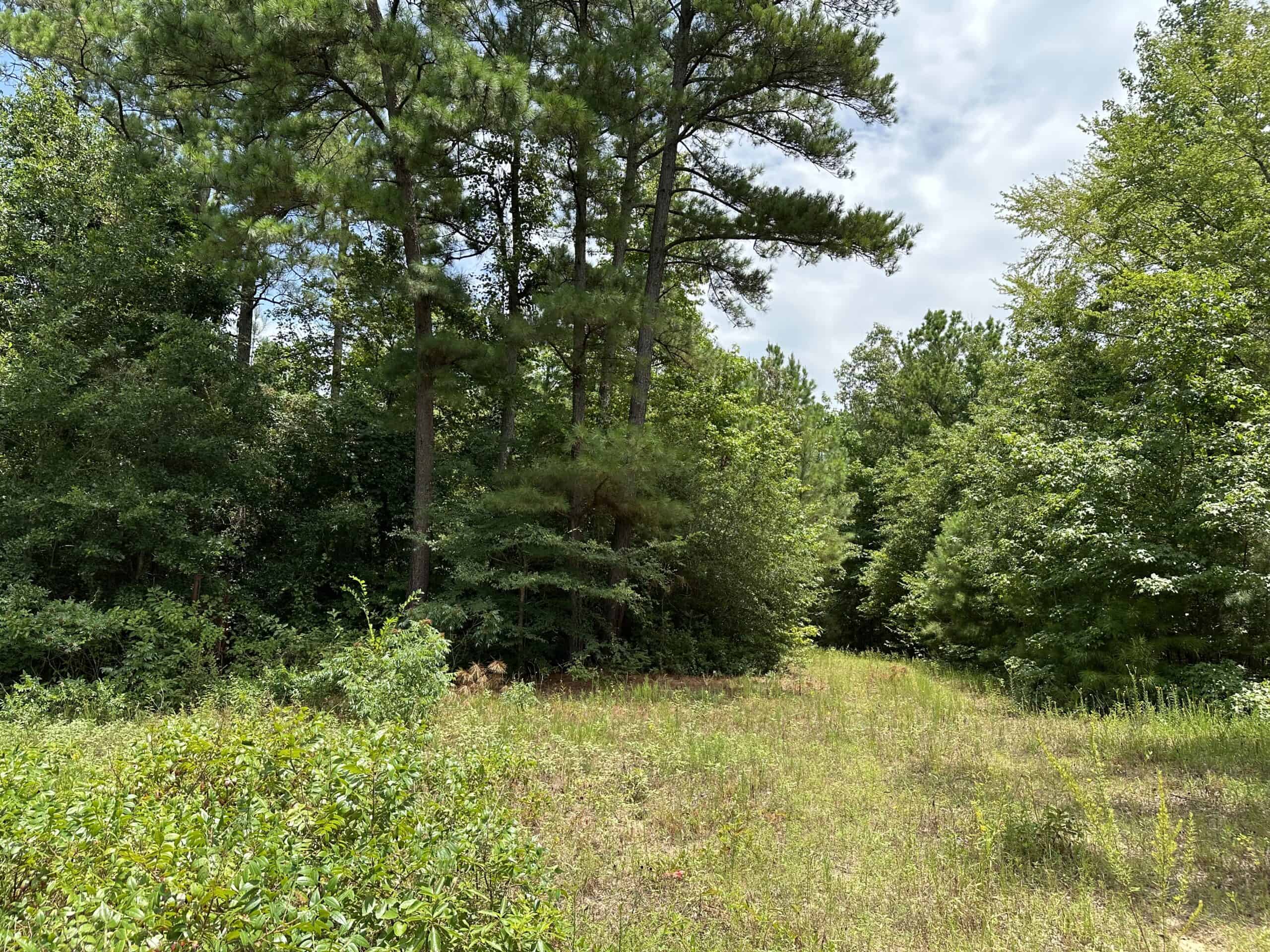East Texas Hunting/Recreational Land For Sale