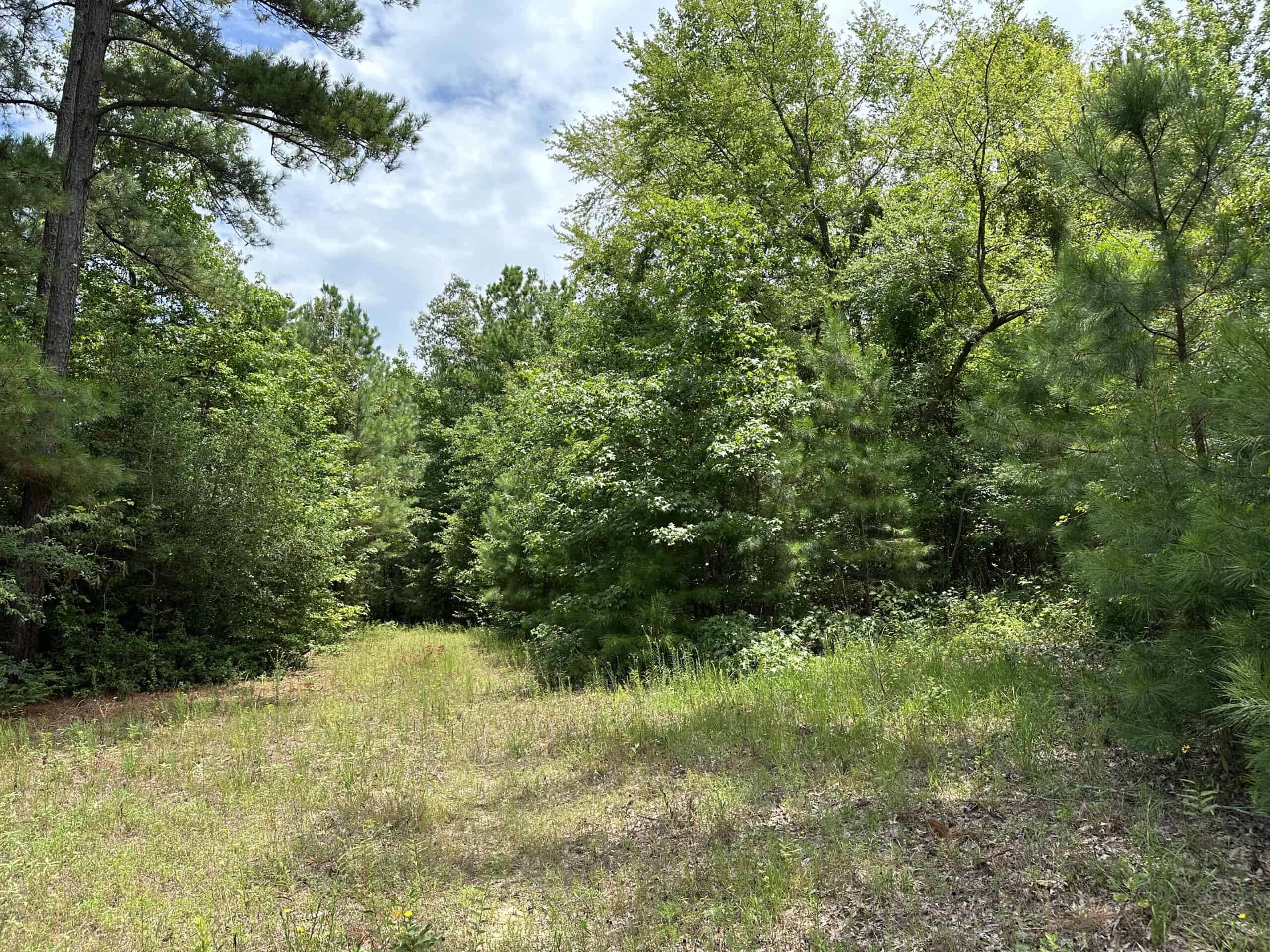East Texas Hunting/Recreational Land For Sale