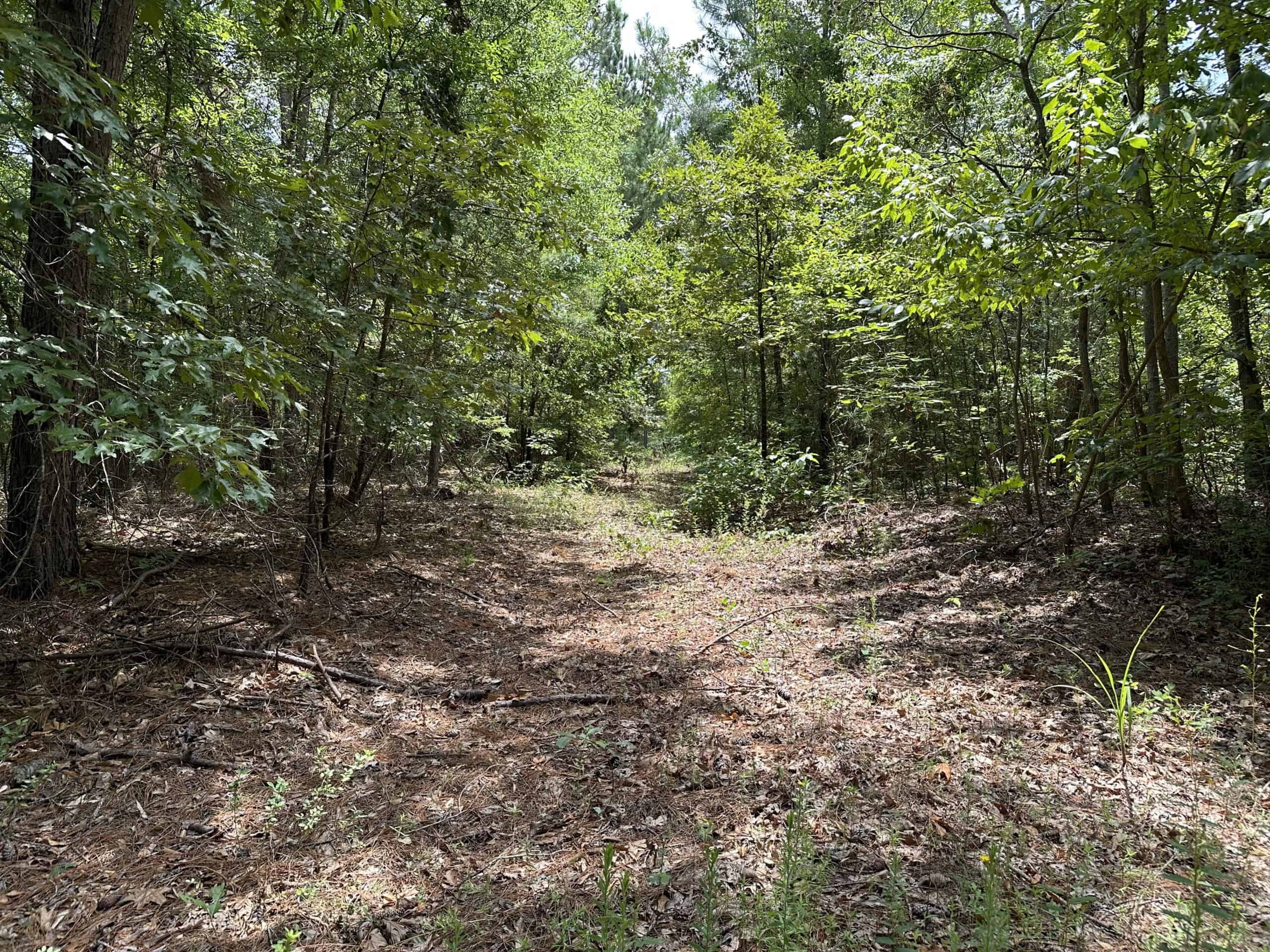 East Texas Hunting/Recreational Land For Sale