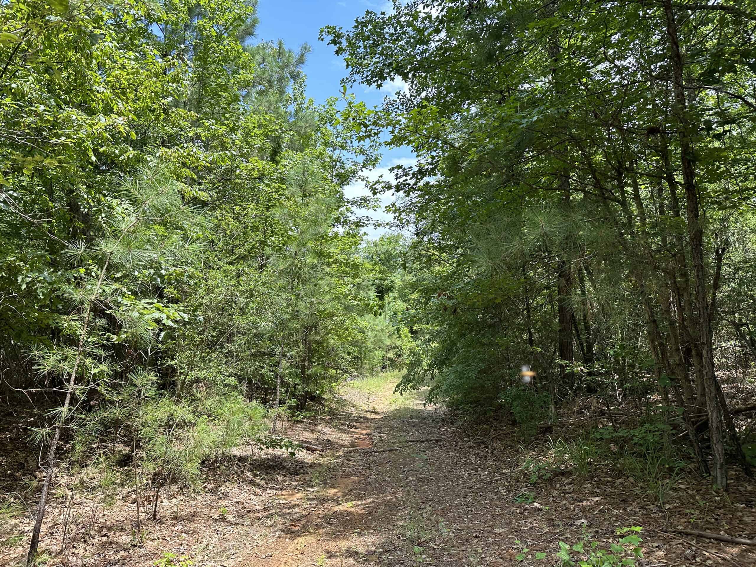 East Texas Hunting/Recreational Land For Sale