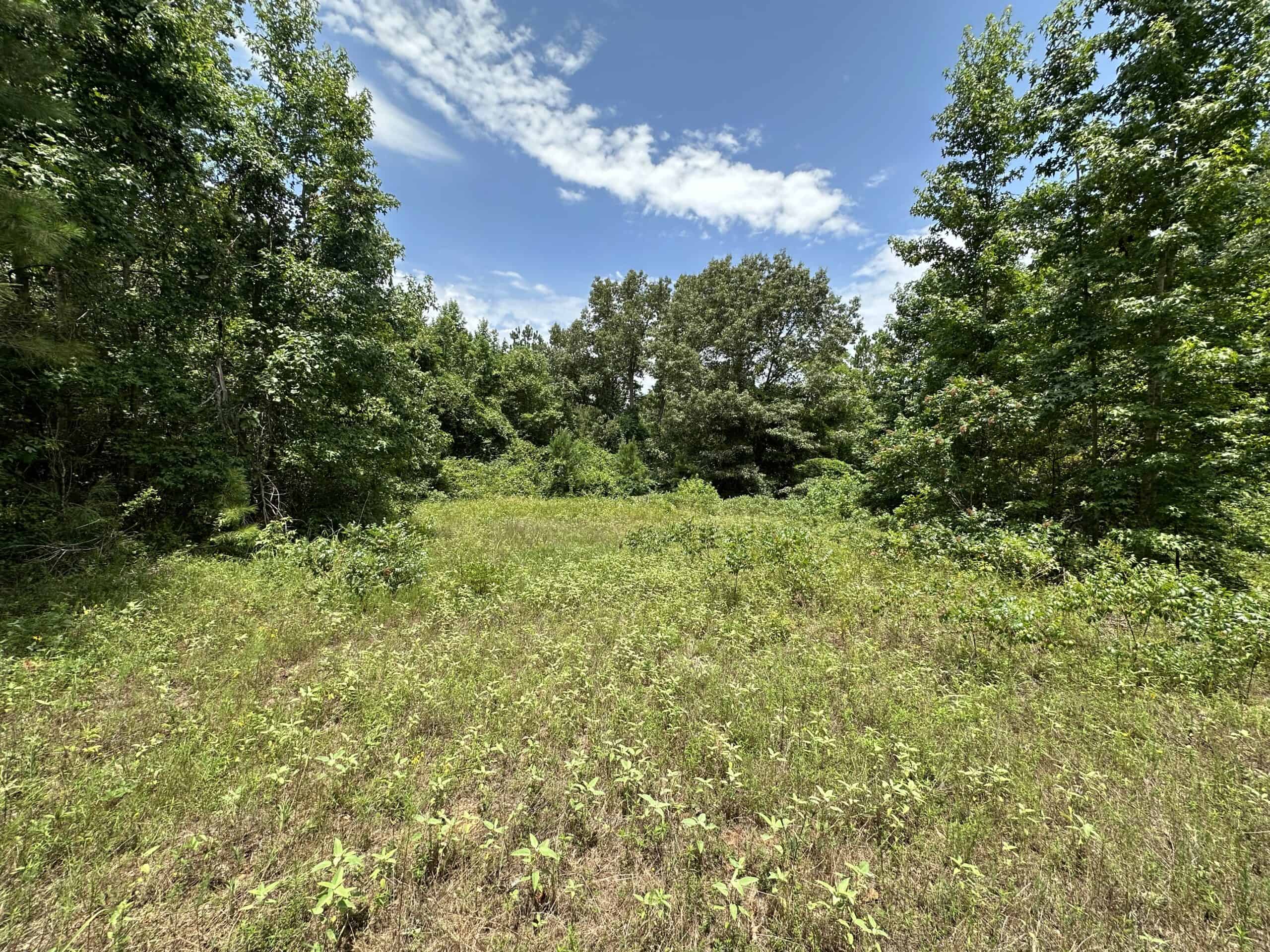 East Texas Hunting/Recreational Land For Sale