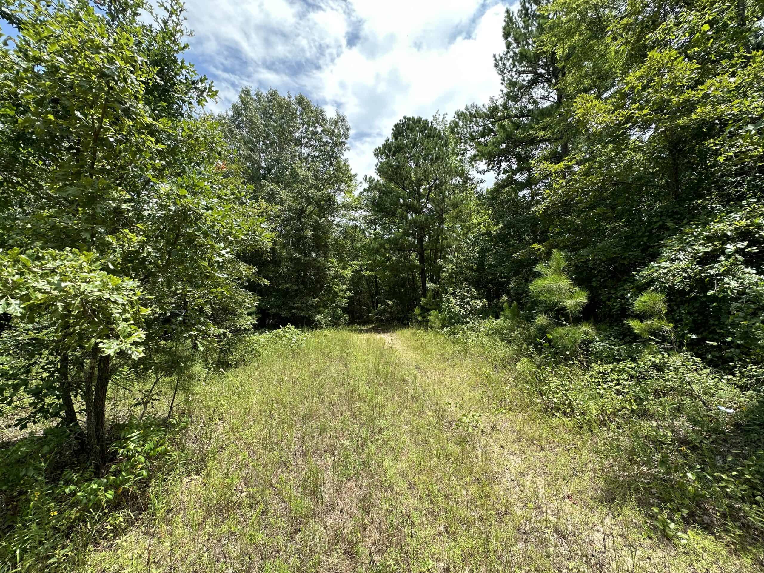 East Texas Hunting/Recreational Land For Sale