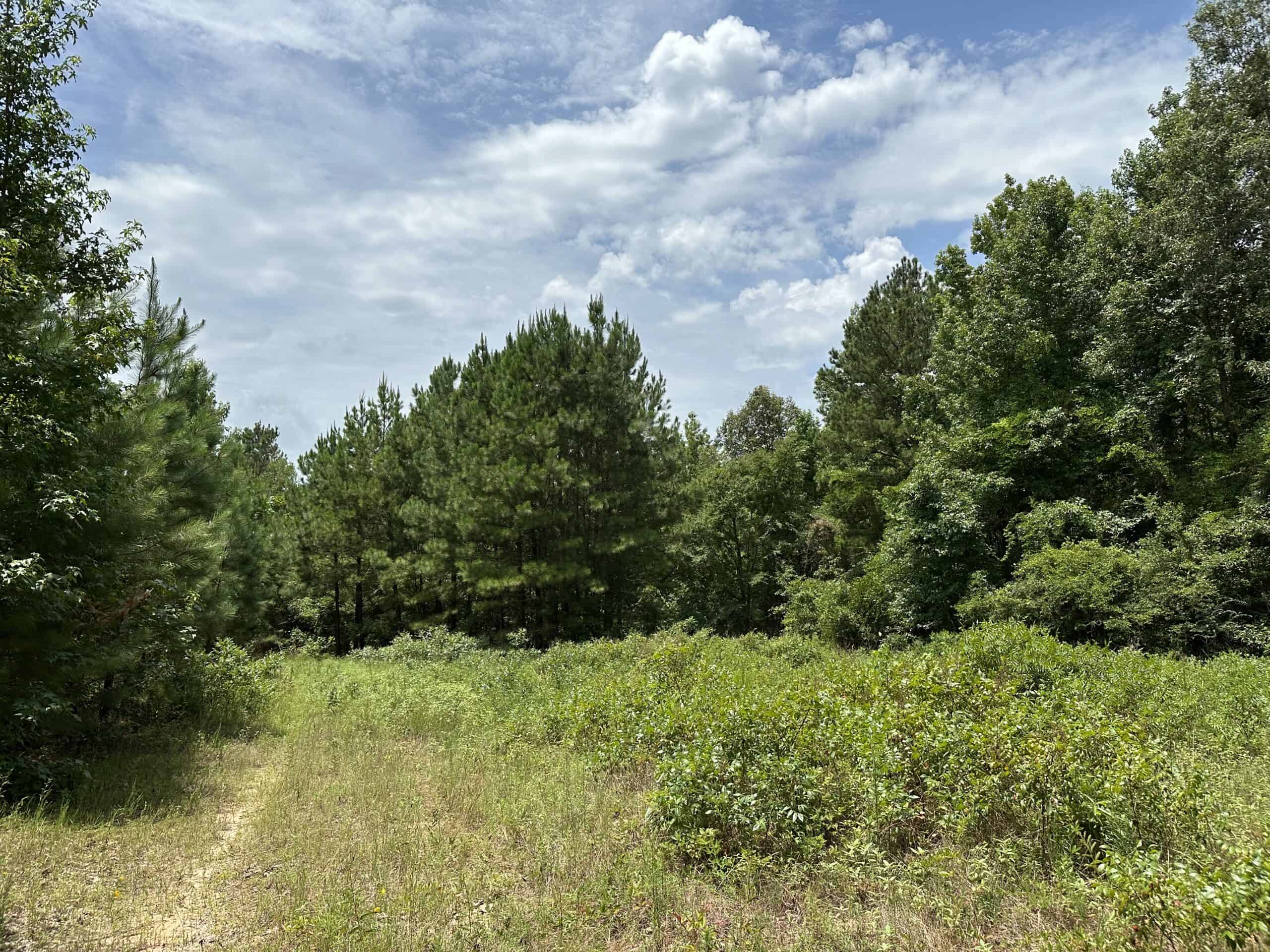 East Texas Hunting/Recreational Land For Sale