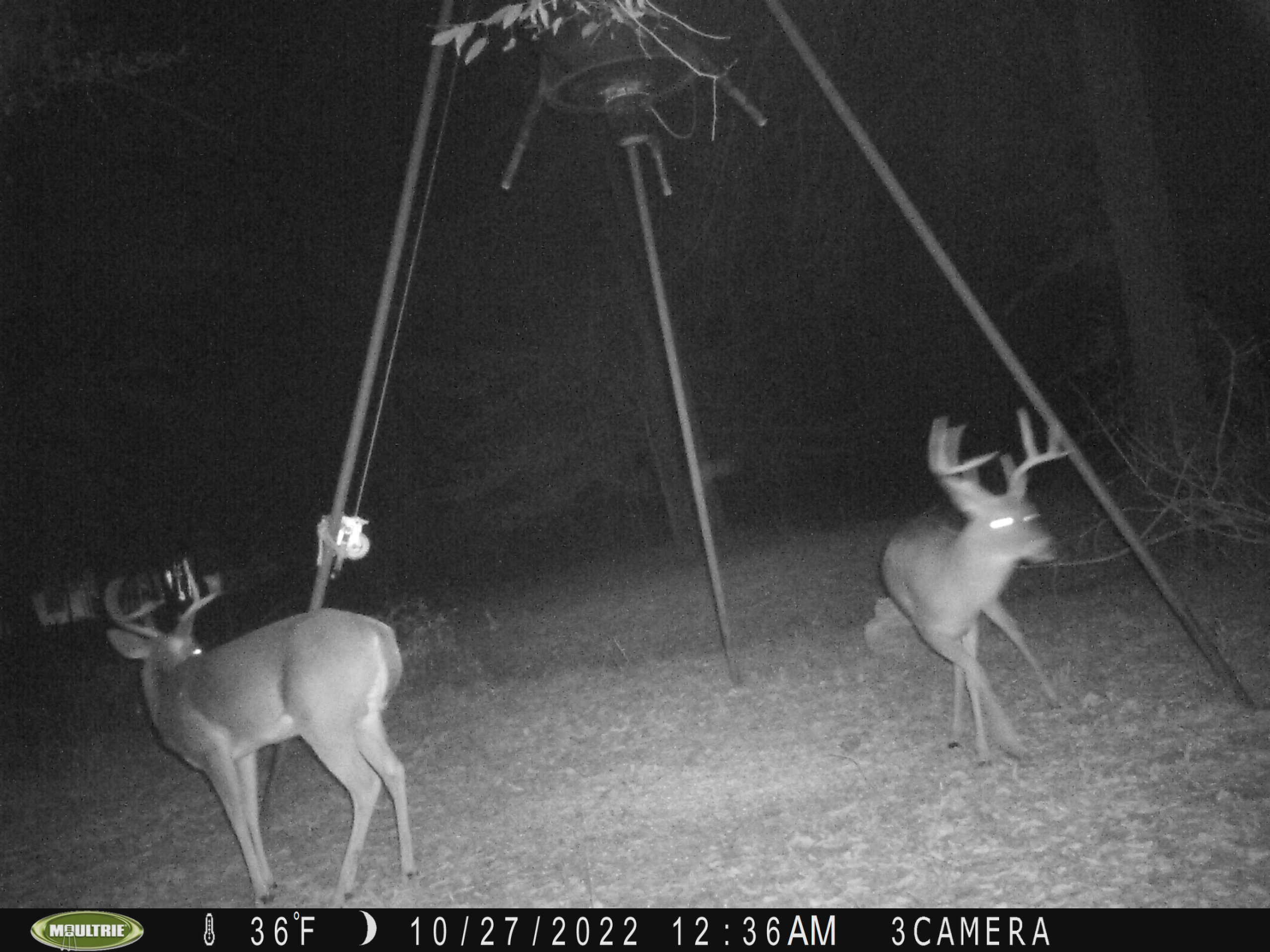 East Texas Hunting/Recreational Tract With Cabin
