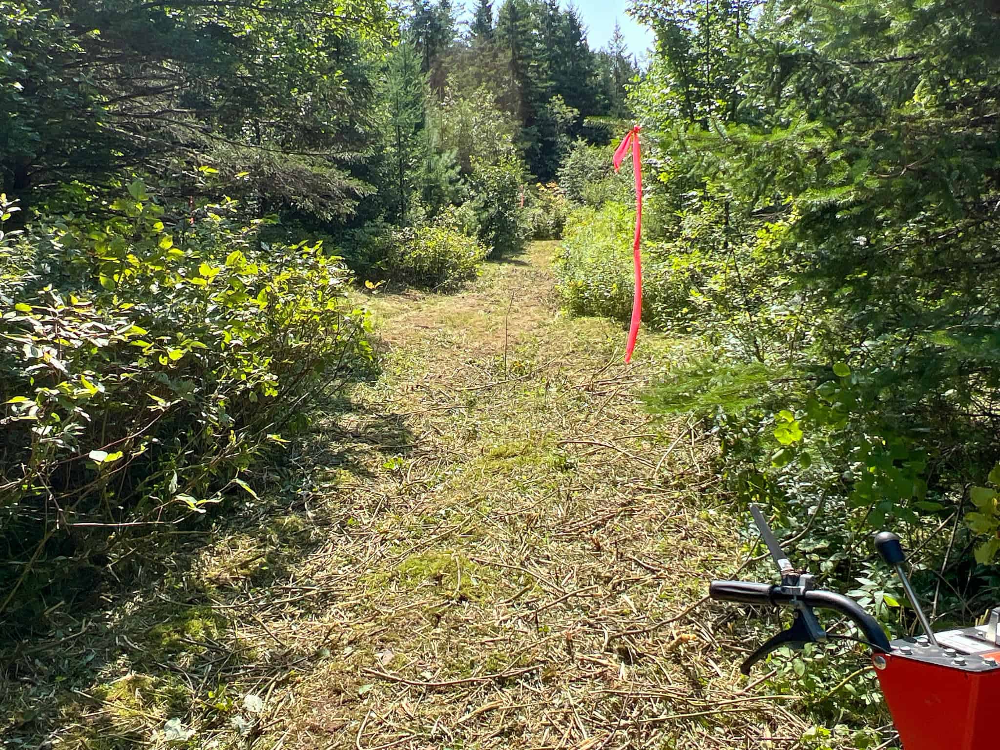 Katahdin View Forest – Prime Timberland in Patten, Maine