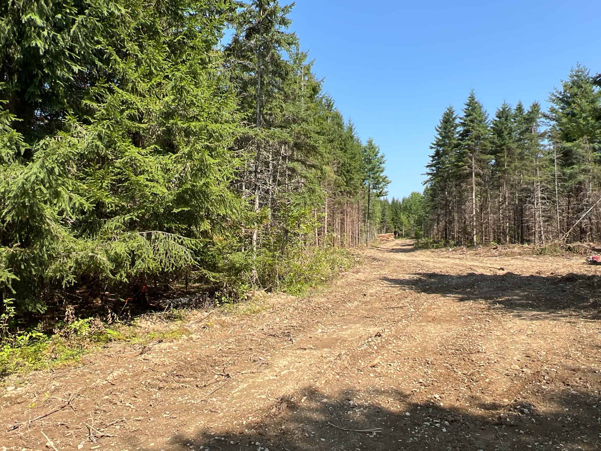 Katahdin View Forest – Prime Timberland in Patten, Maine