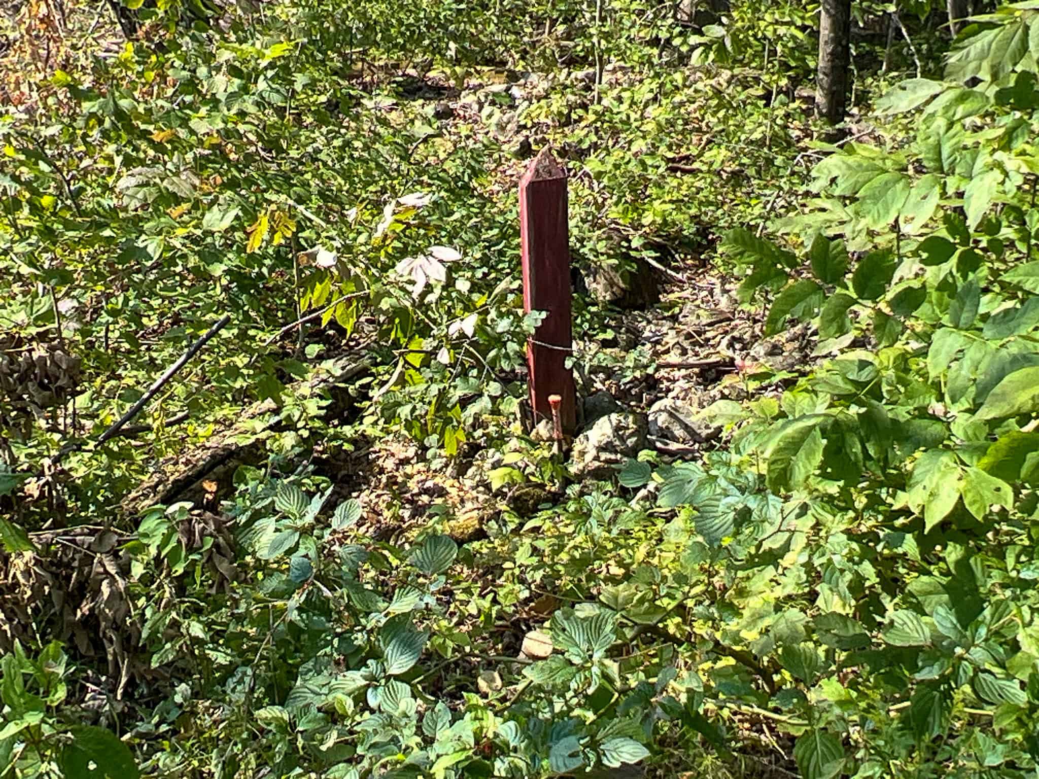 Katahdin View Forest – Prime Timberland in Patten, Maine