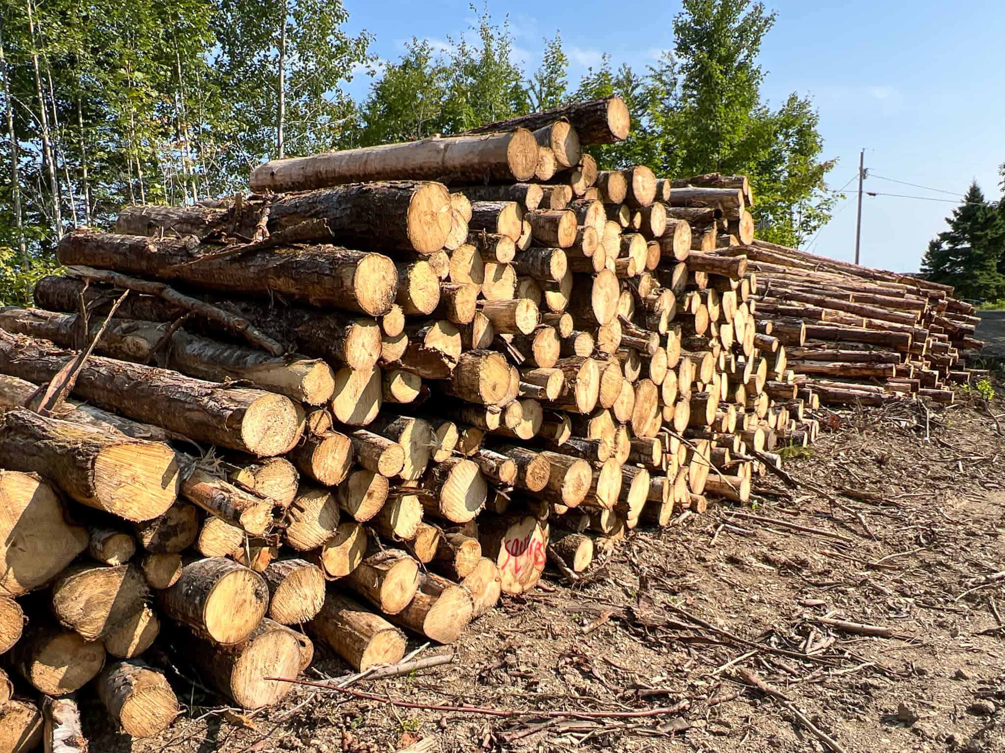 Katahdin View Forest – Prime Timberland in Patten, Maine