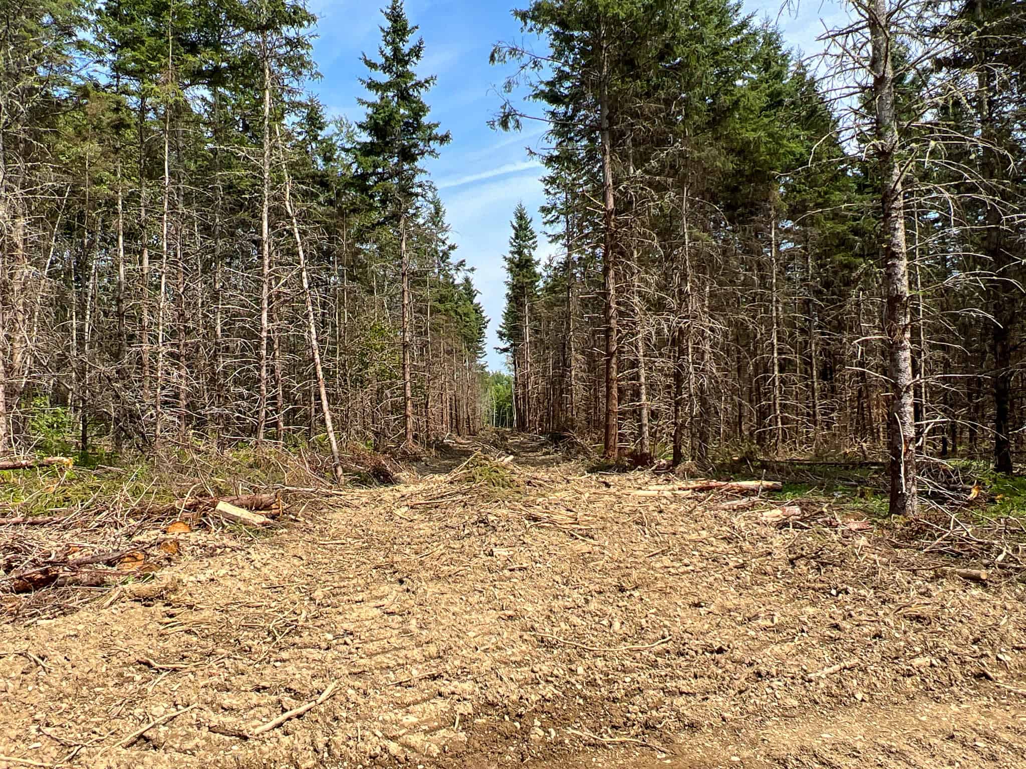 Katahdin View Forest – Prime Timberland in Patten, Maine