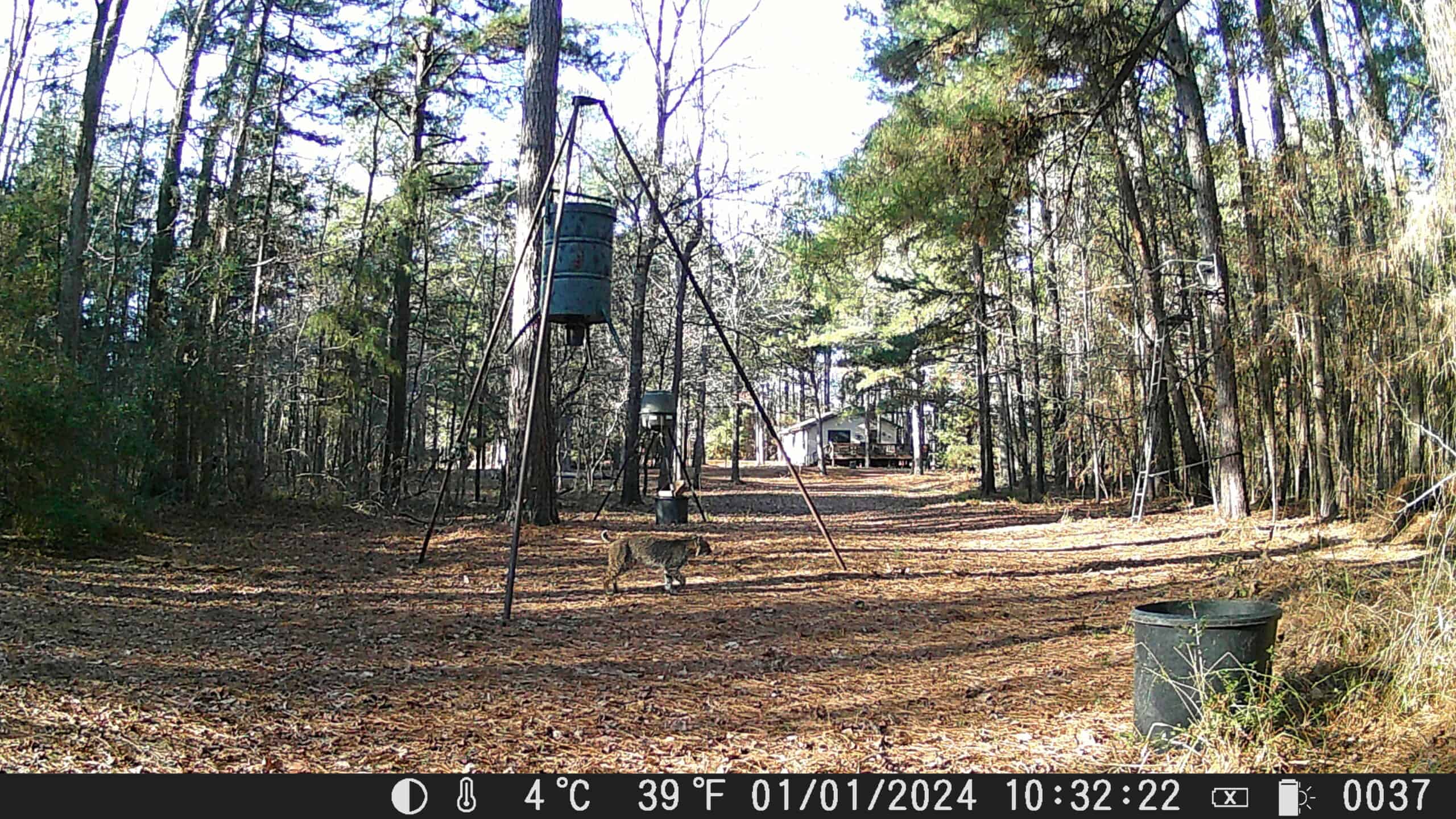East Texas Hunting/Recreational Tract With Cabin