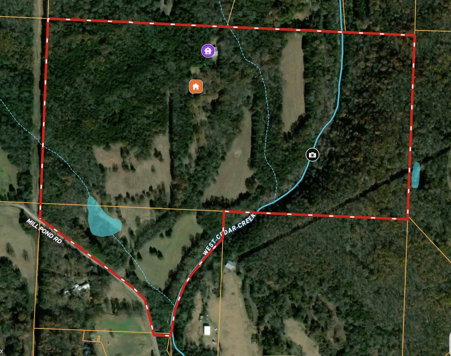 95 Acres of Hunting Land with Log Home For Sale in Arkansas