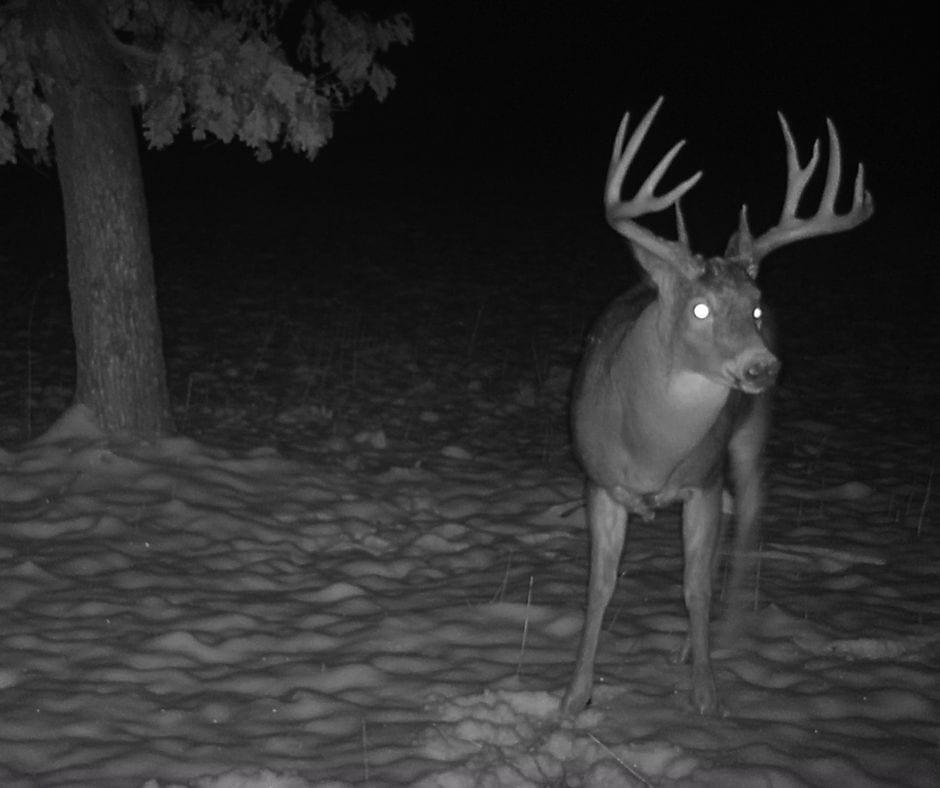 Exceptional Recreational Property in Sparta, WI