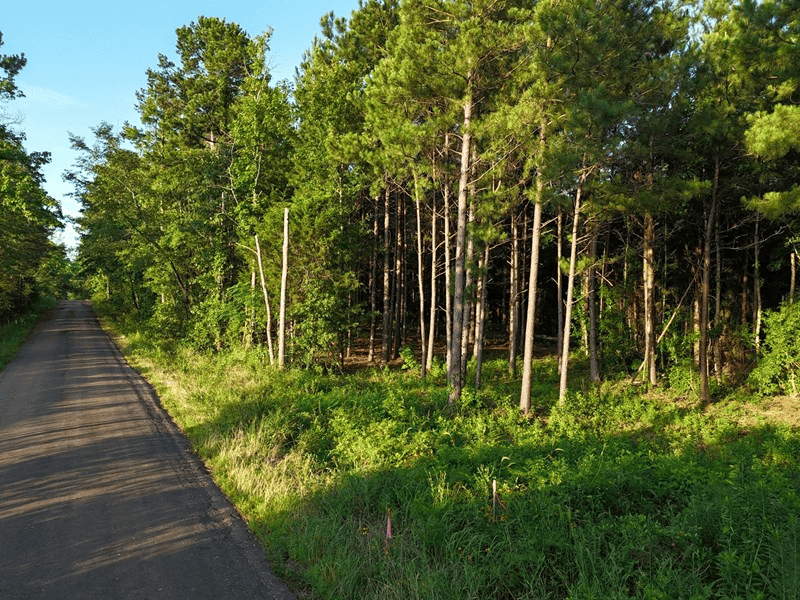 ±24.1 Acres Of East Texas Land With Insulated Shop And Pond