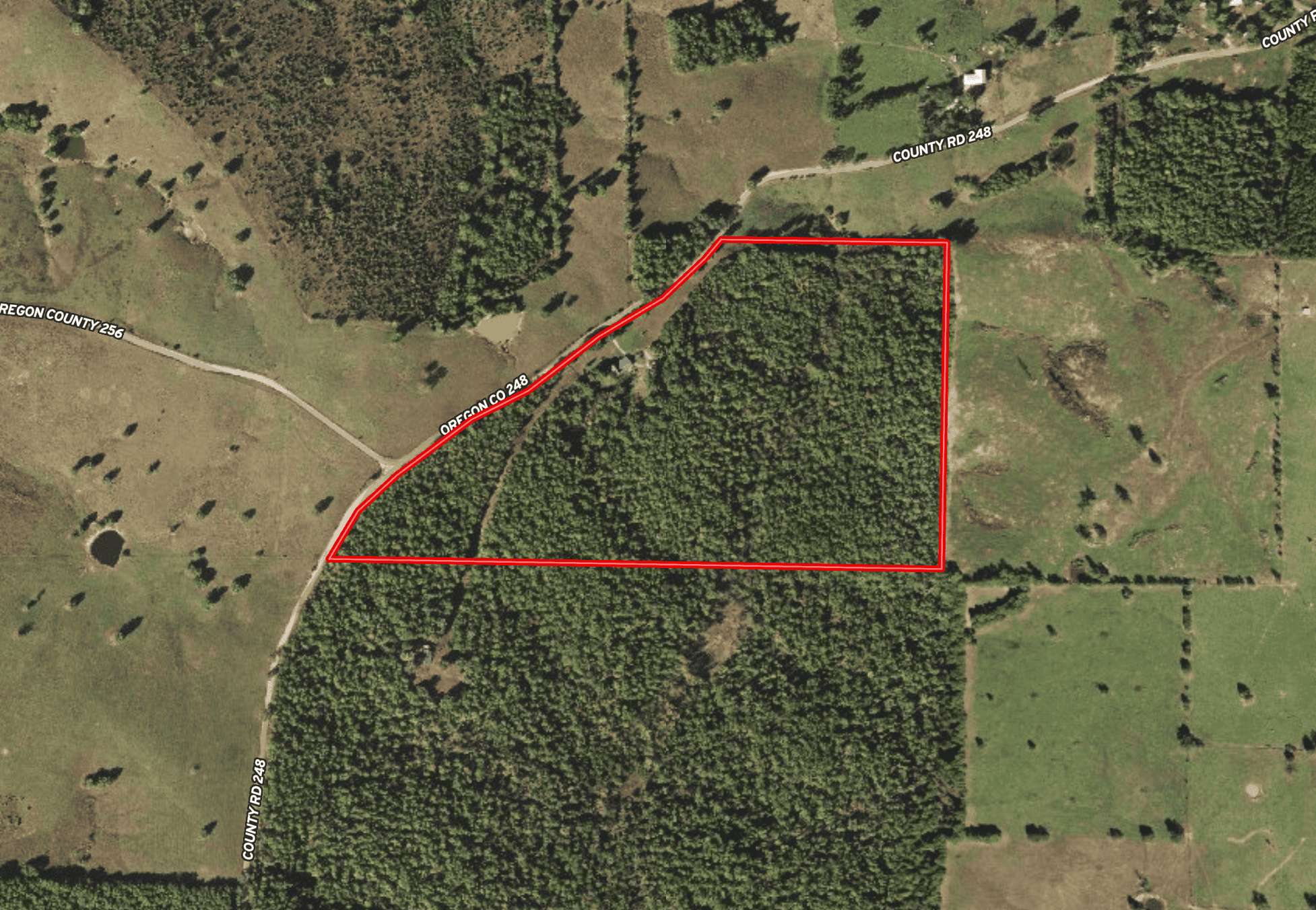 Custom Built Log Cabin and 57 Wooded Acres in Thayer MO