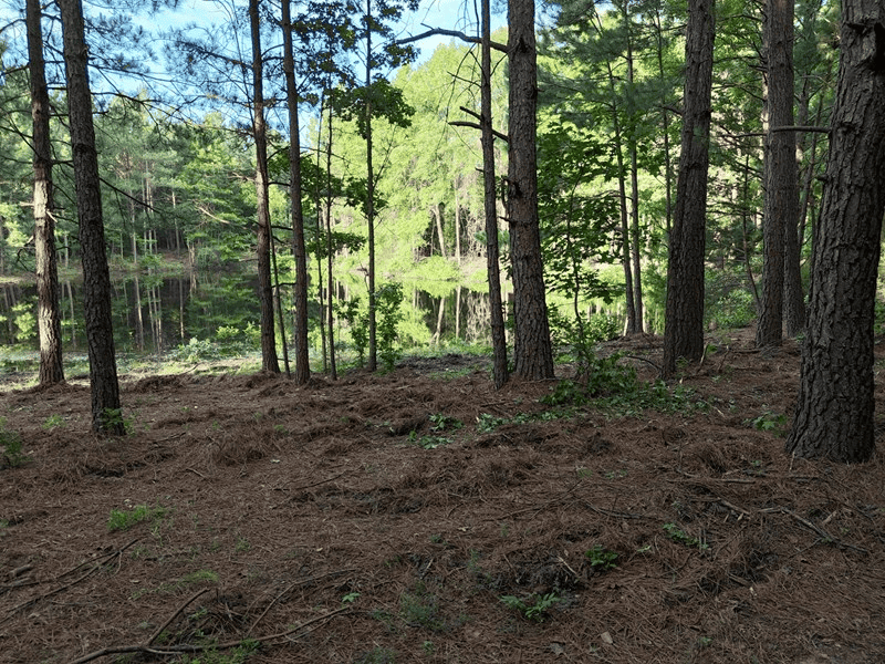 ±24.1 Acres Of East Texas Land With Insulated Shop And Pond