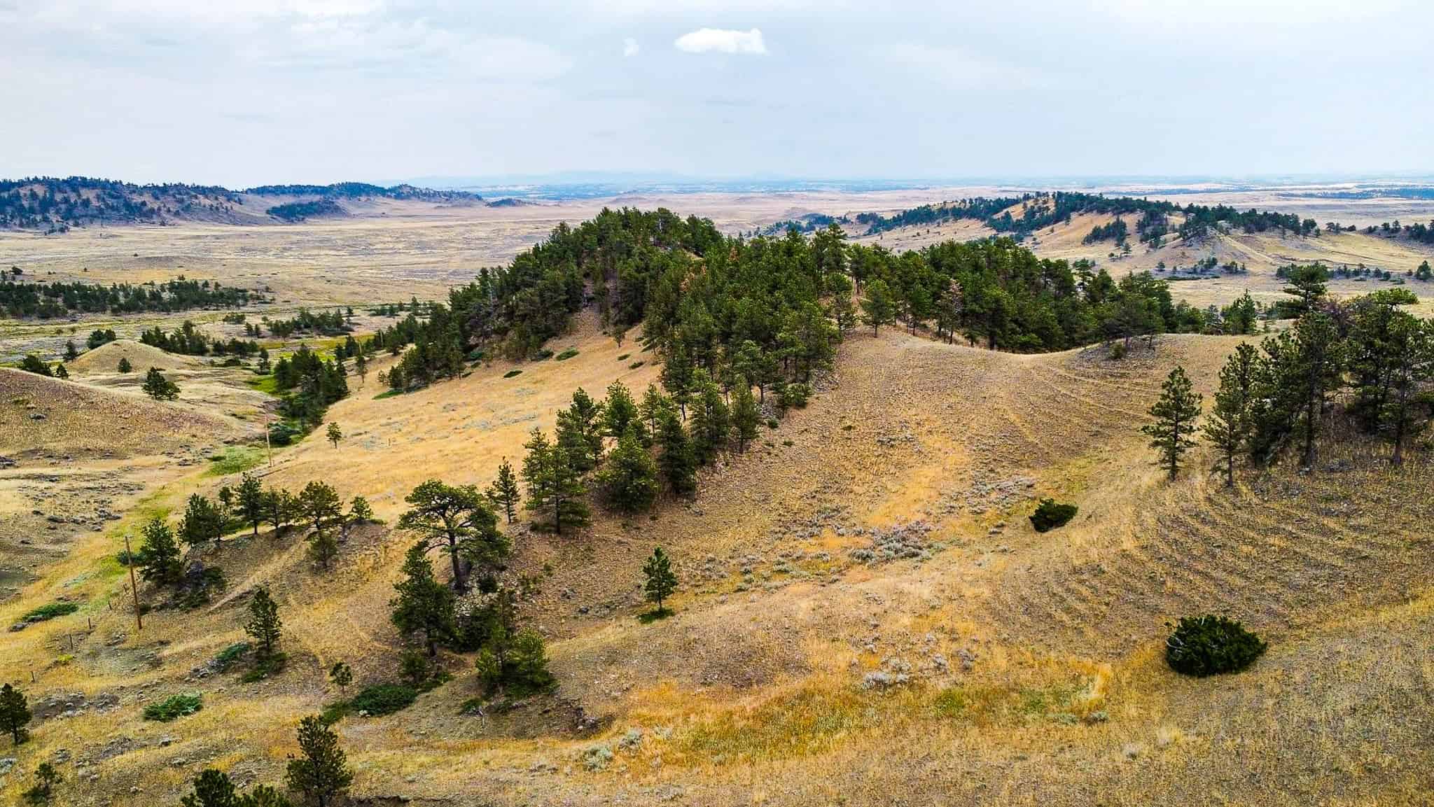 COW ISLAND TRAIL RANCH: A RARE OPPORTUNITY IN THE BEAR PAWS