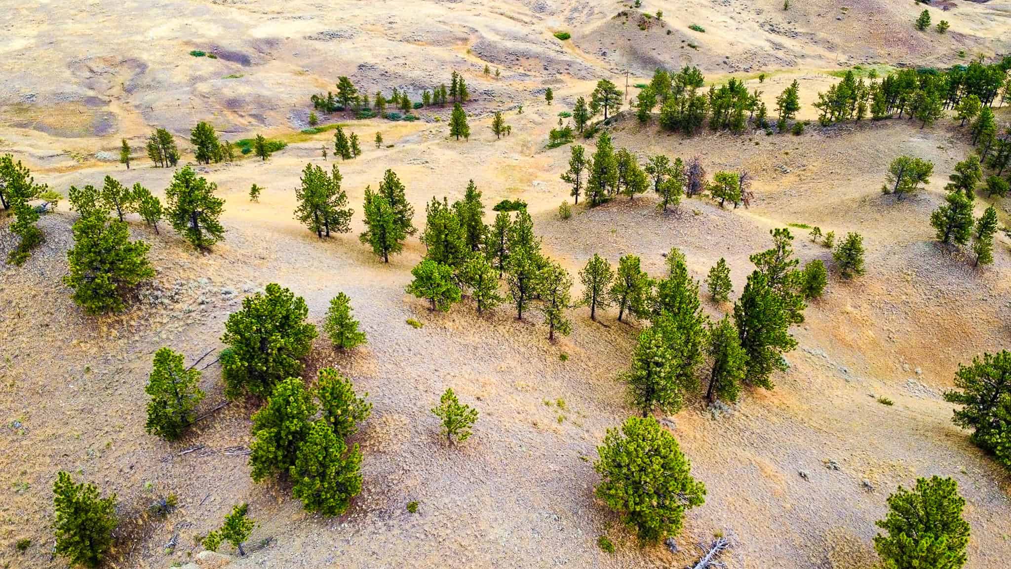 COW ISLAND TRAIL RANCH: A RARE OPPORTUNITY IN THE BEAR PAWS