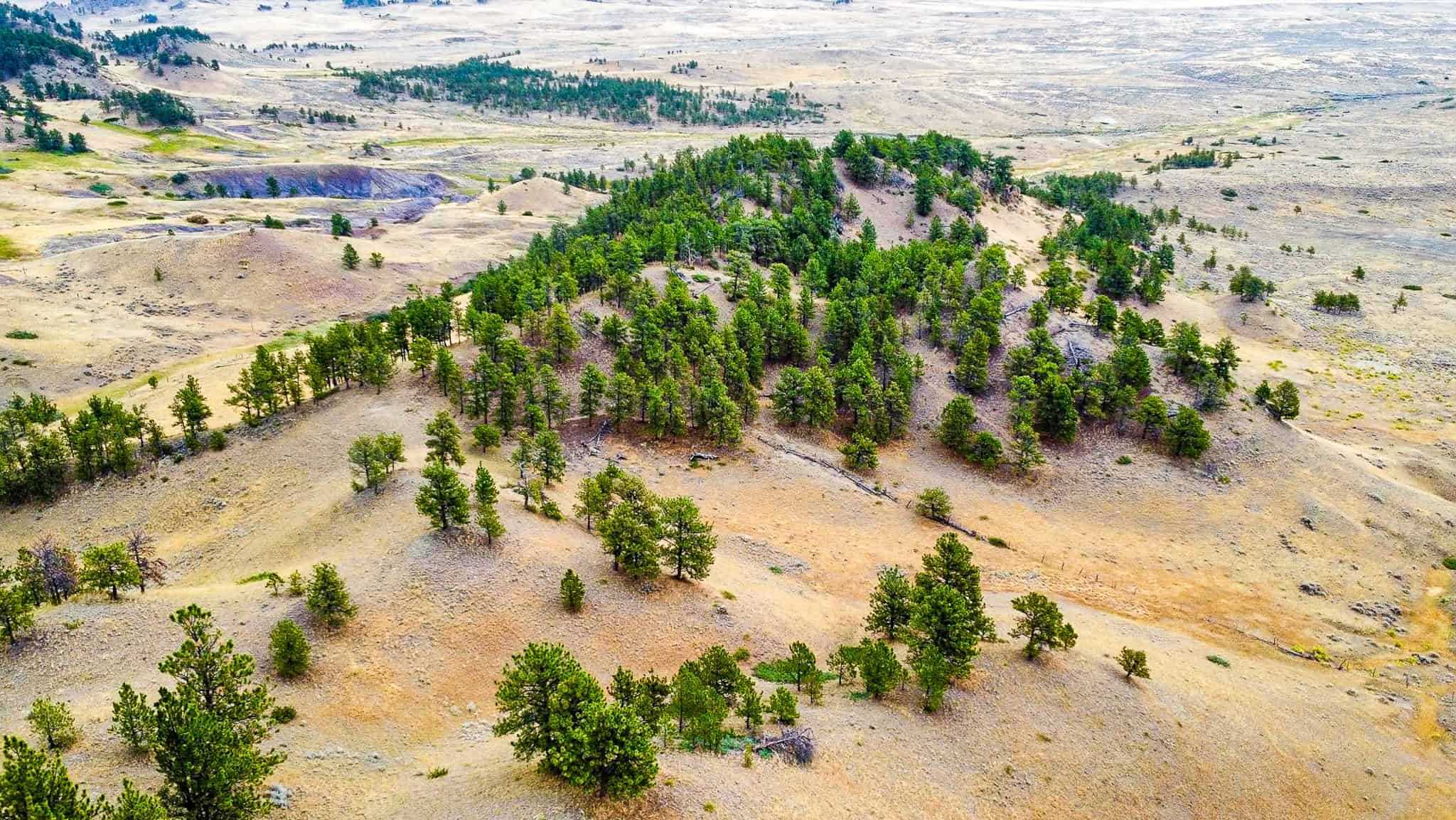 COW ISLAND TRAIL RANCH: A RARE OPPORTUNITY IN THE BEAR PAWS
