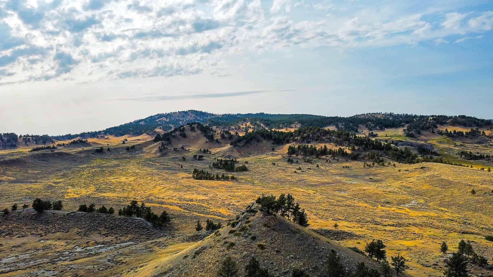 COW ISLAND TRAIL RANCH: A RARE OPPORTUNITY IN THE BEAR PAWS