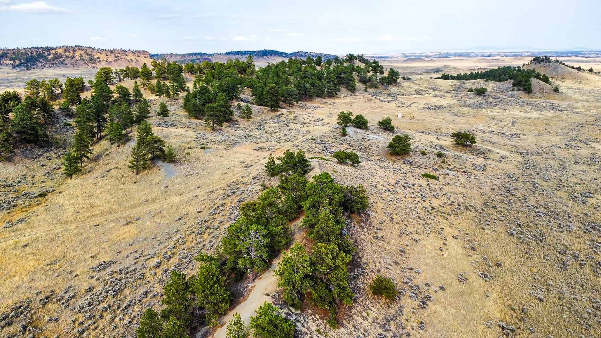 COW ISLAND TRAIL RANCH: A RARE OPPORTUNITY IN THE BEAR PAWS