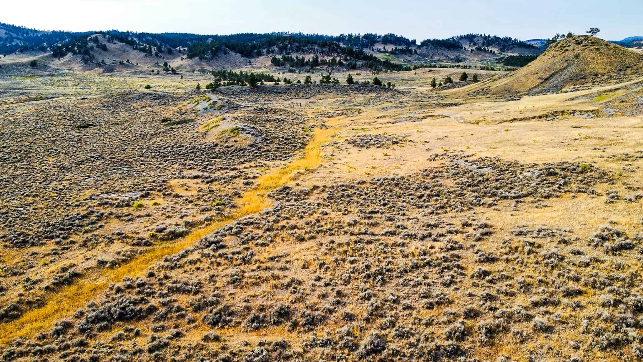 COW ISLAND TRAIL RANCH: A RARE OPPORTUNITY IN THE BEAR PAWS