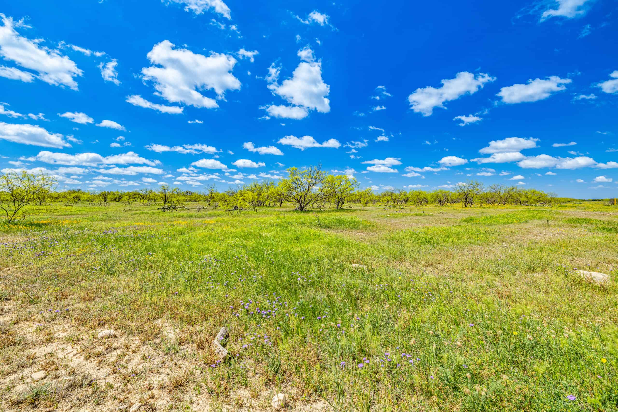 1764.55 Acres of Prime Ranch Land, Abundant Wildlife in Sonora, TX