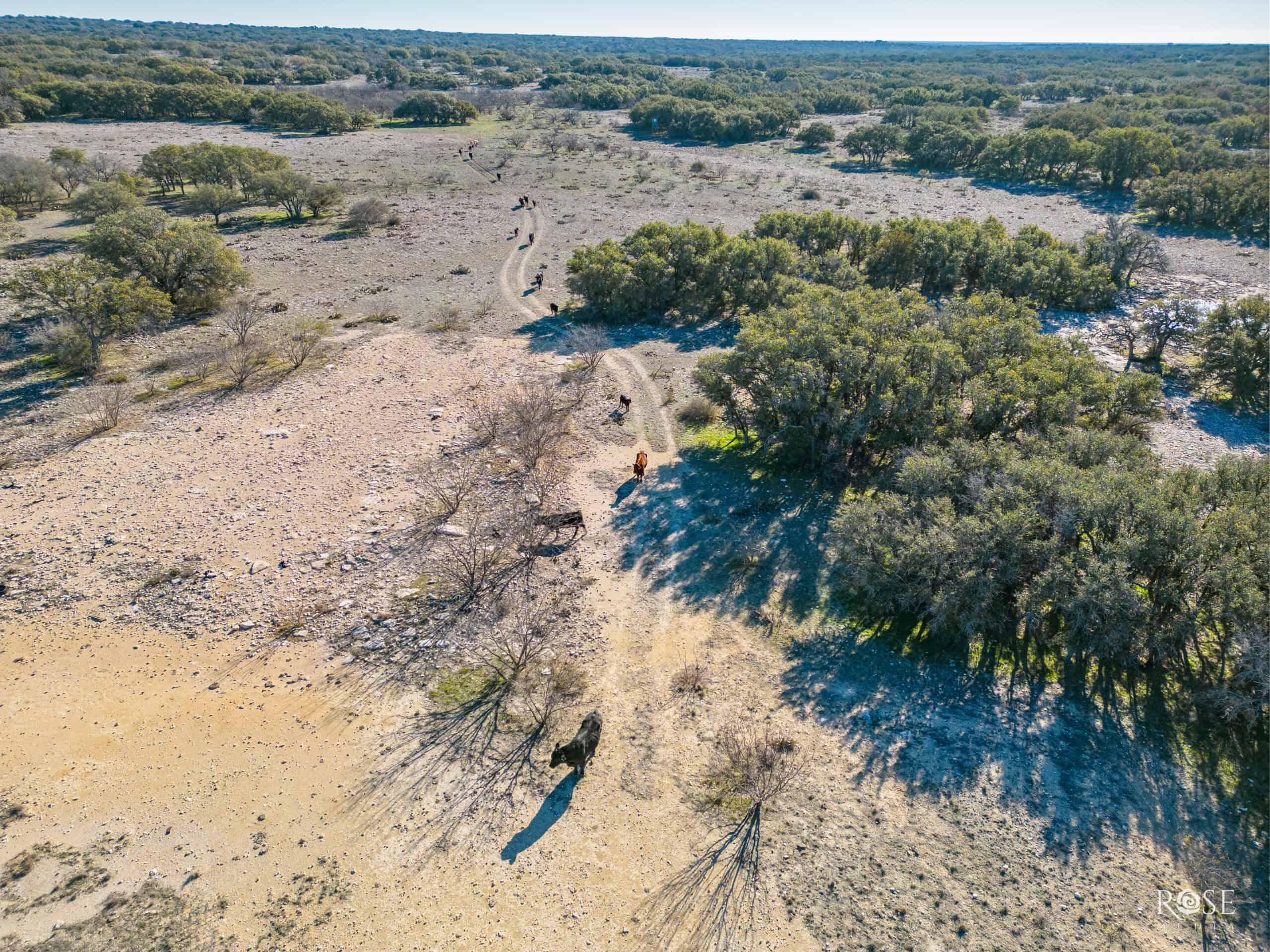1764.55 Acres of Prime Ranch Land, Abundant Wildlife in Sonora, TX