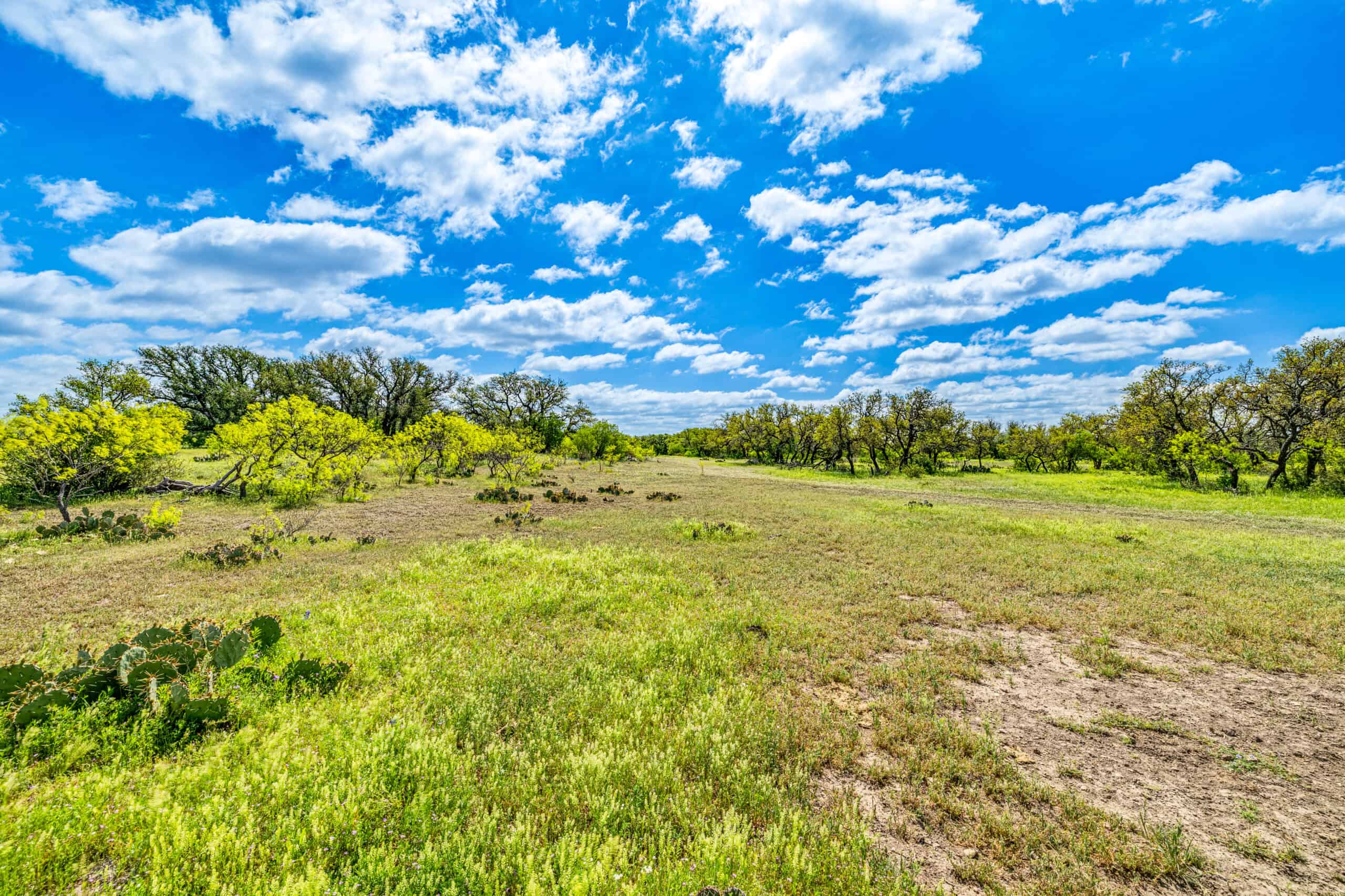 1764.55 Acres of Prime Ranch Land, Abundant Wildlife in Sonora, TX