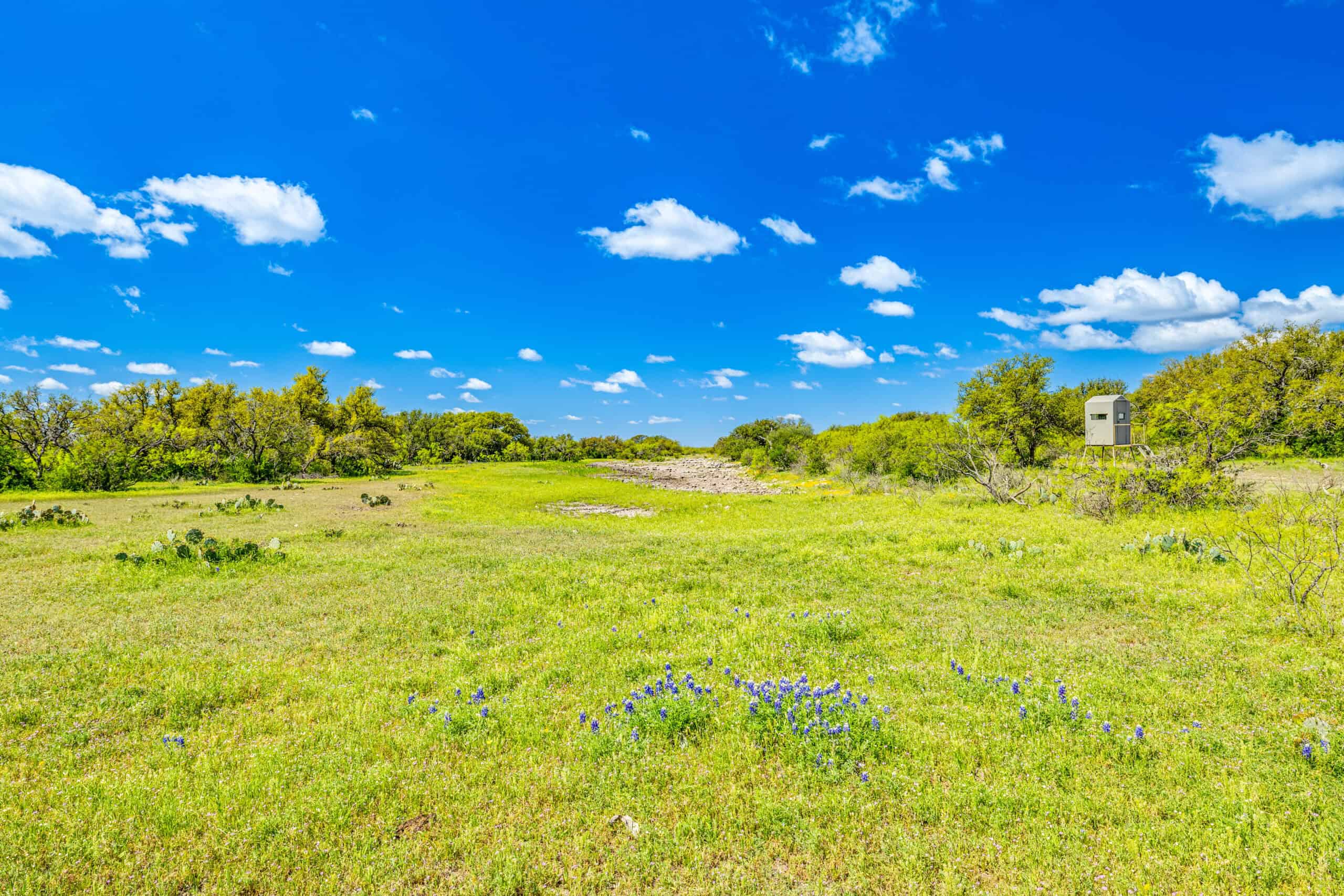1764.55 Acres of Prime Ranch Land, Abundant Wildlife in Sonora, TX