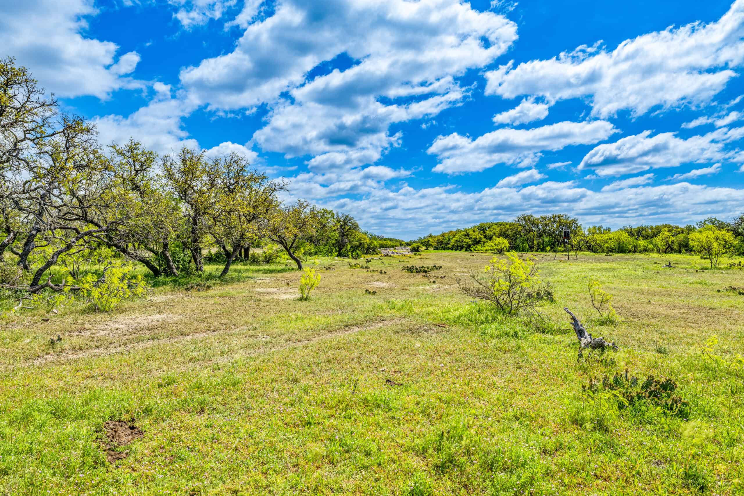 1764.55 Acres of Prime Ranch Land, Abundant Wildlife in Sonora, TX