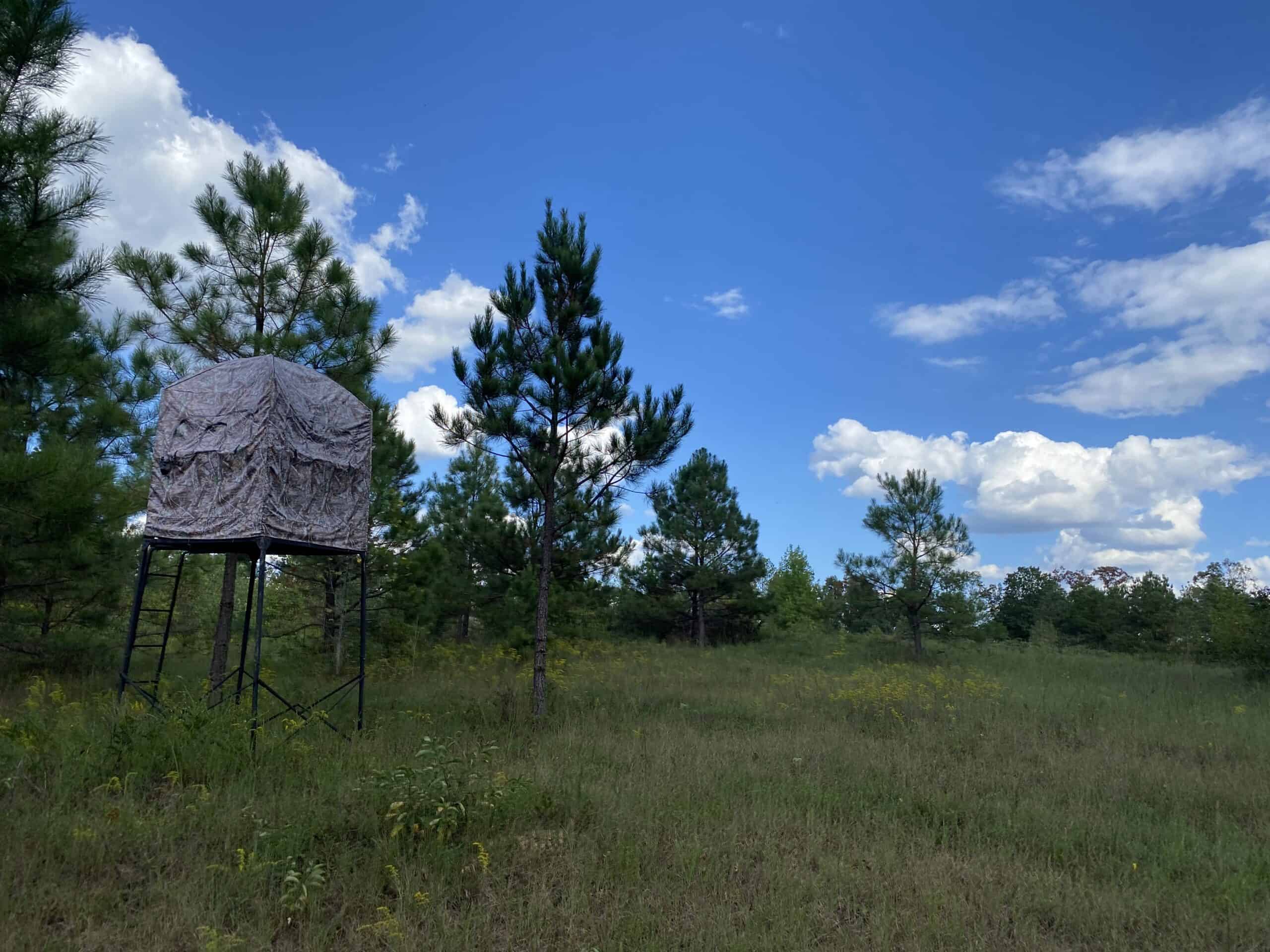 LAND FOR SALE IN TN, 32.5 ACRES+/-, OLD HOME, HUNTING, CREEK